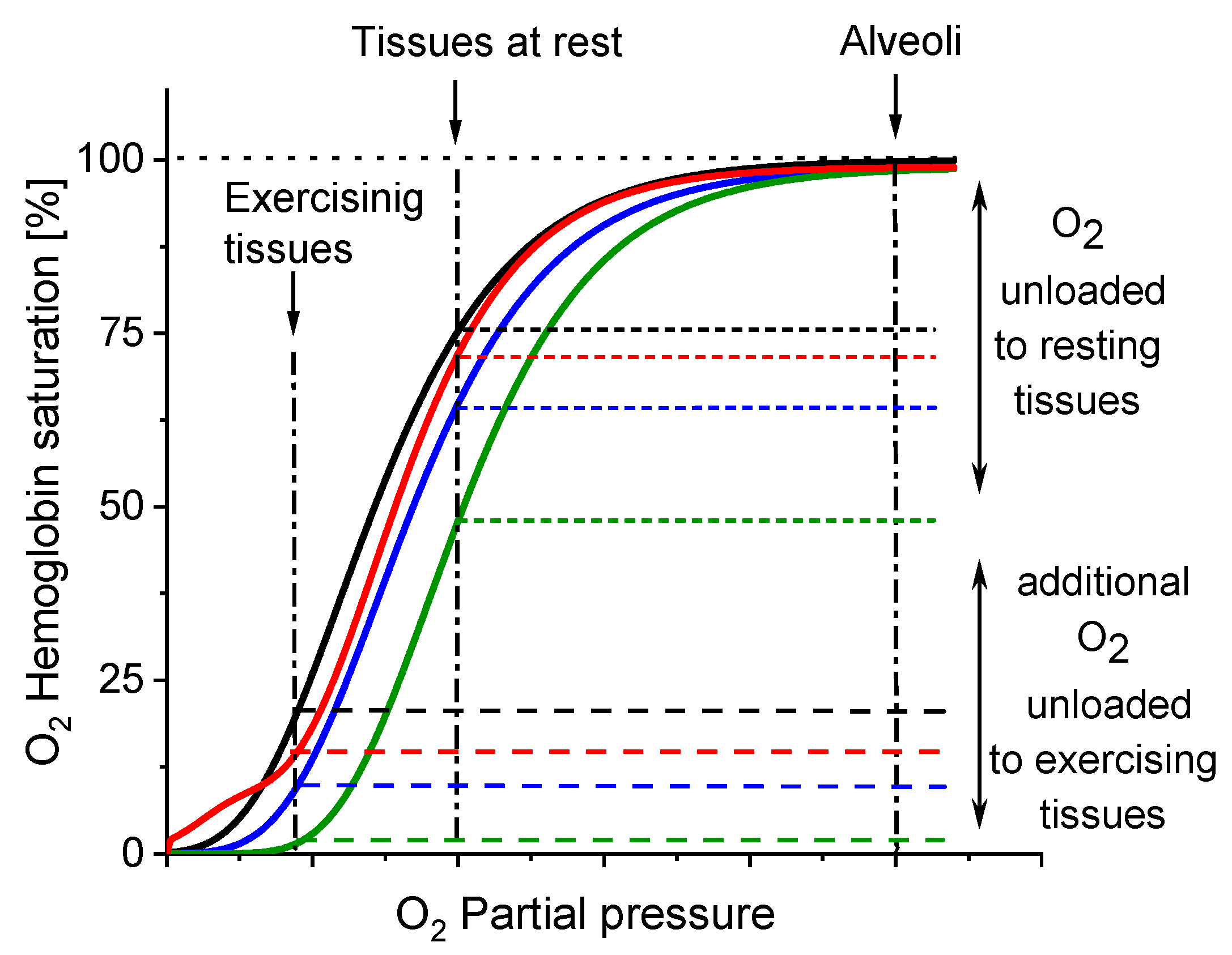 Antioxidants 10 00451 g005