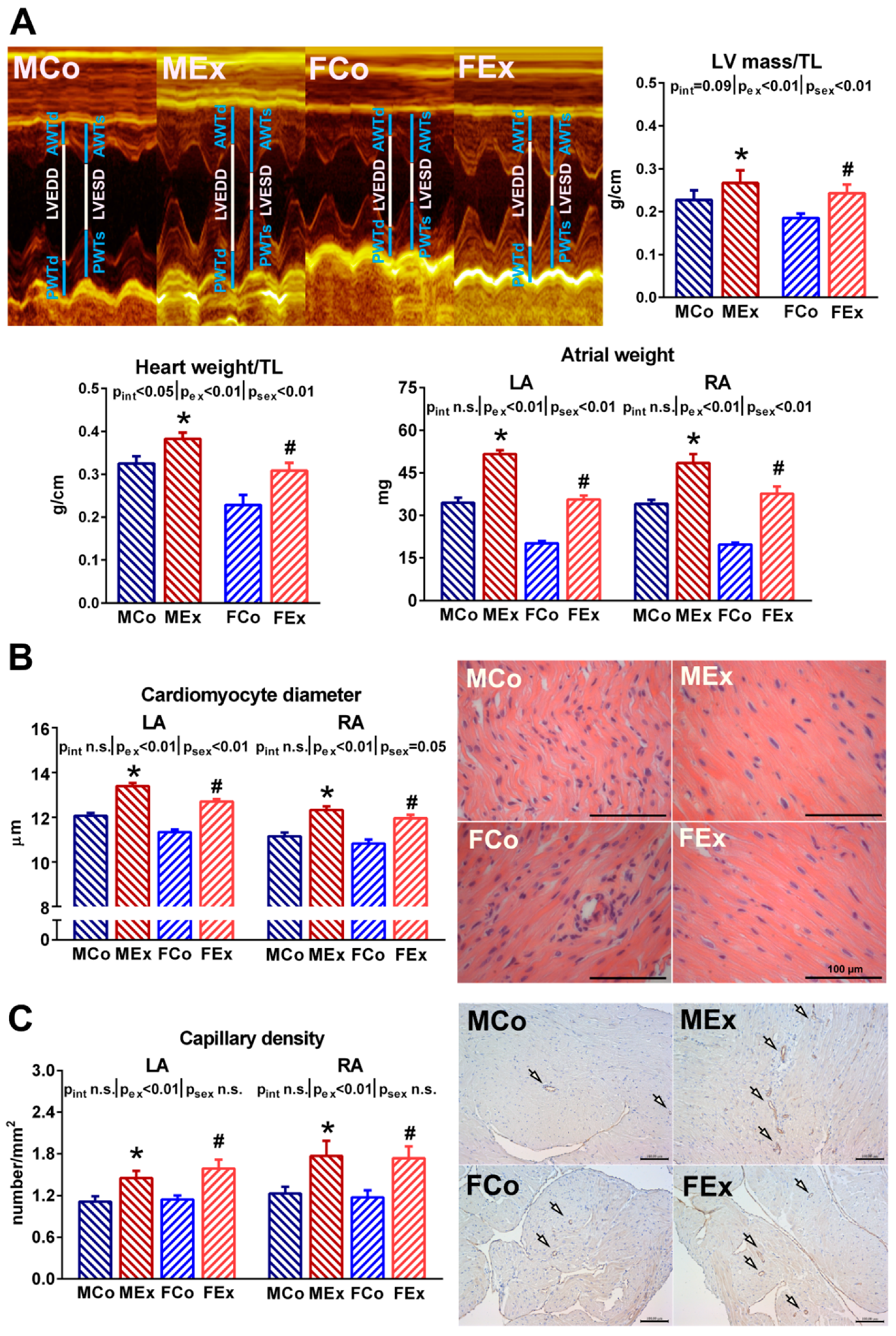 Antioxidants 10 00452 g001