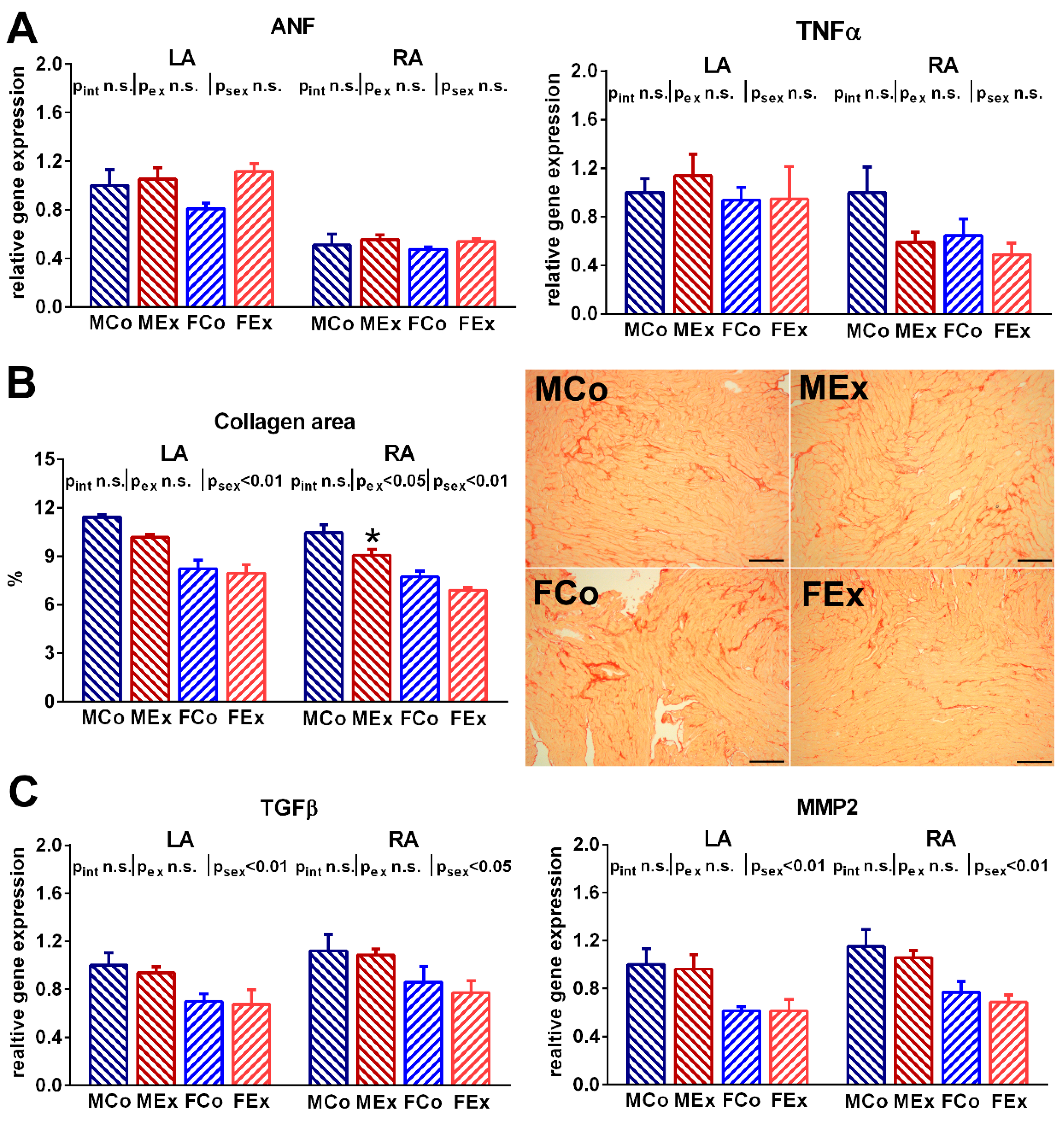 Antioxidants 10 00452 g004