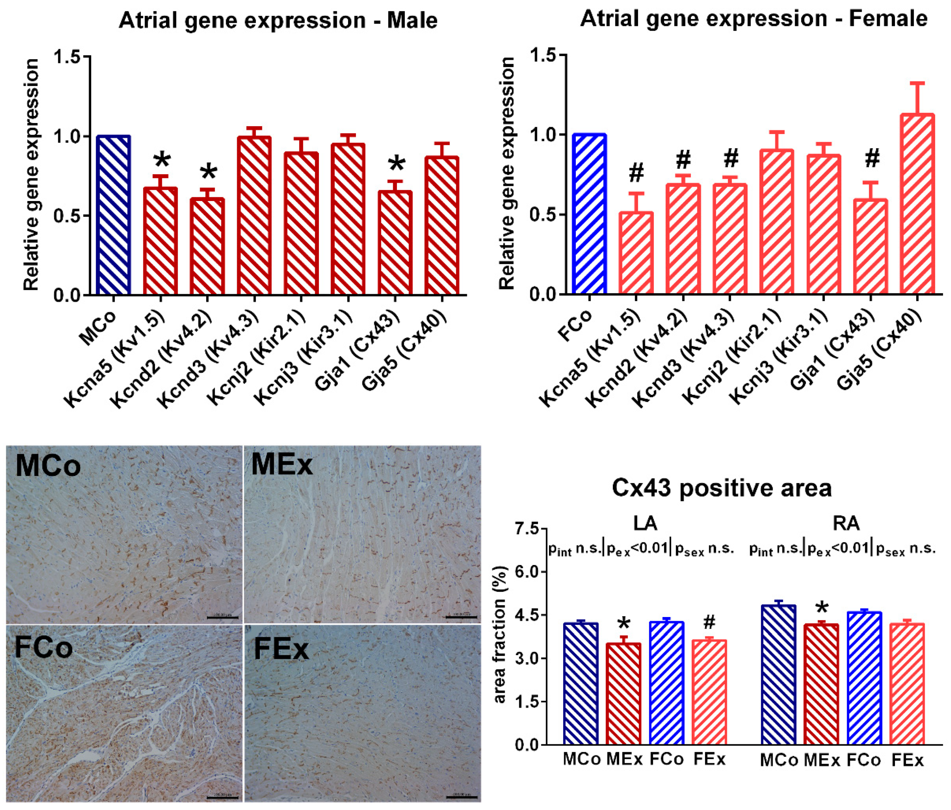 Antioxidants 10 00452 g005