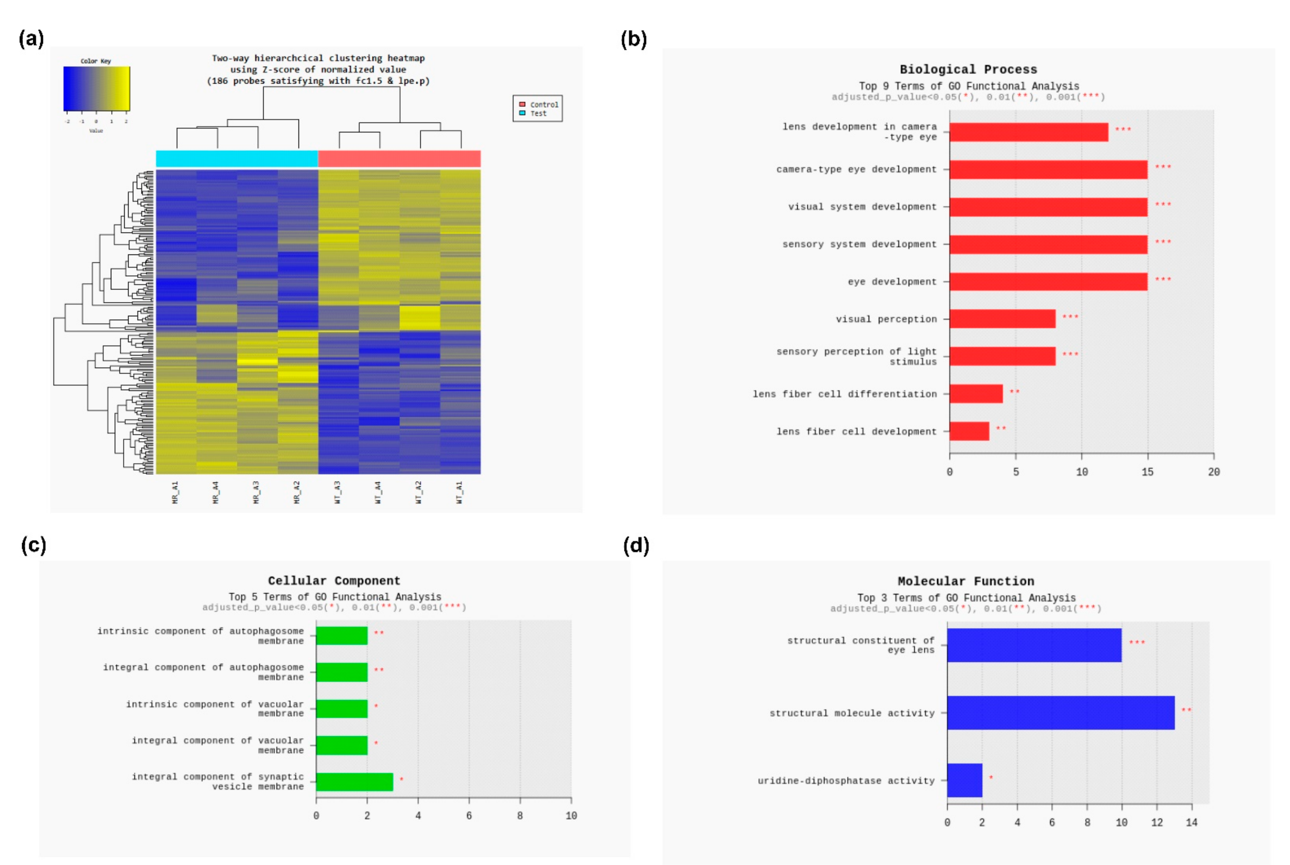 Antioxidants 10 00455 g002