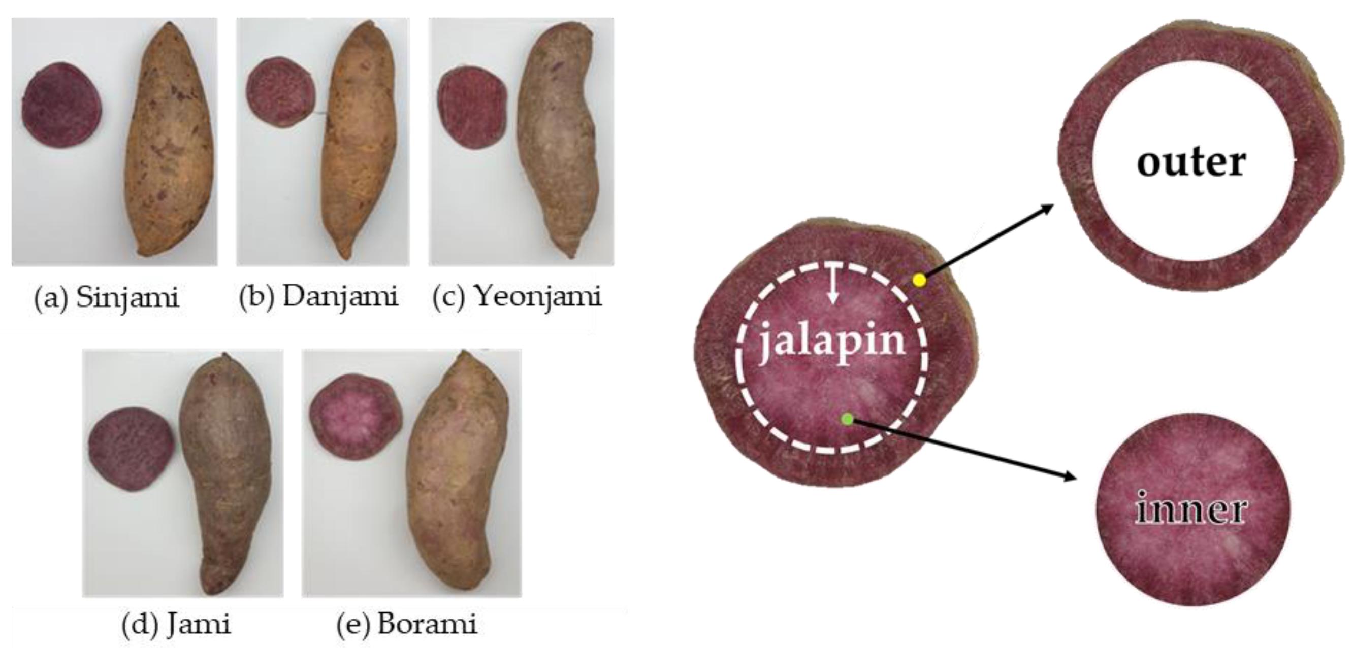 Antioxidants 10 00462 g001