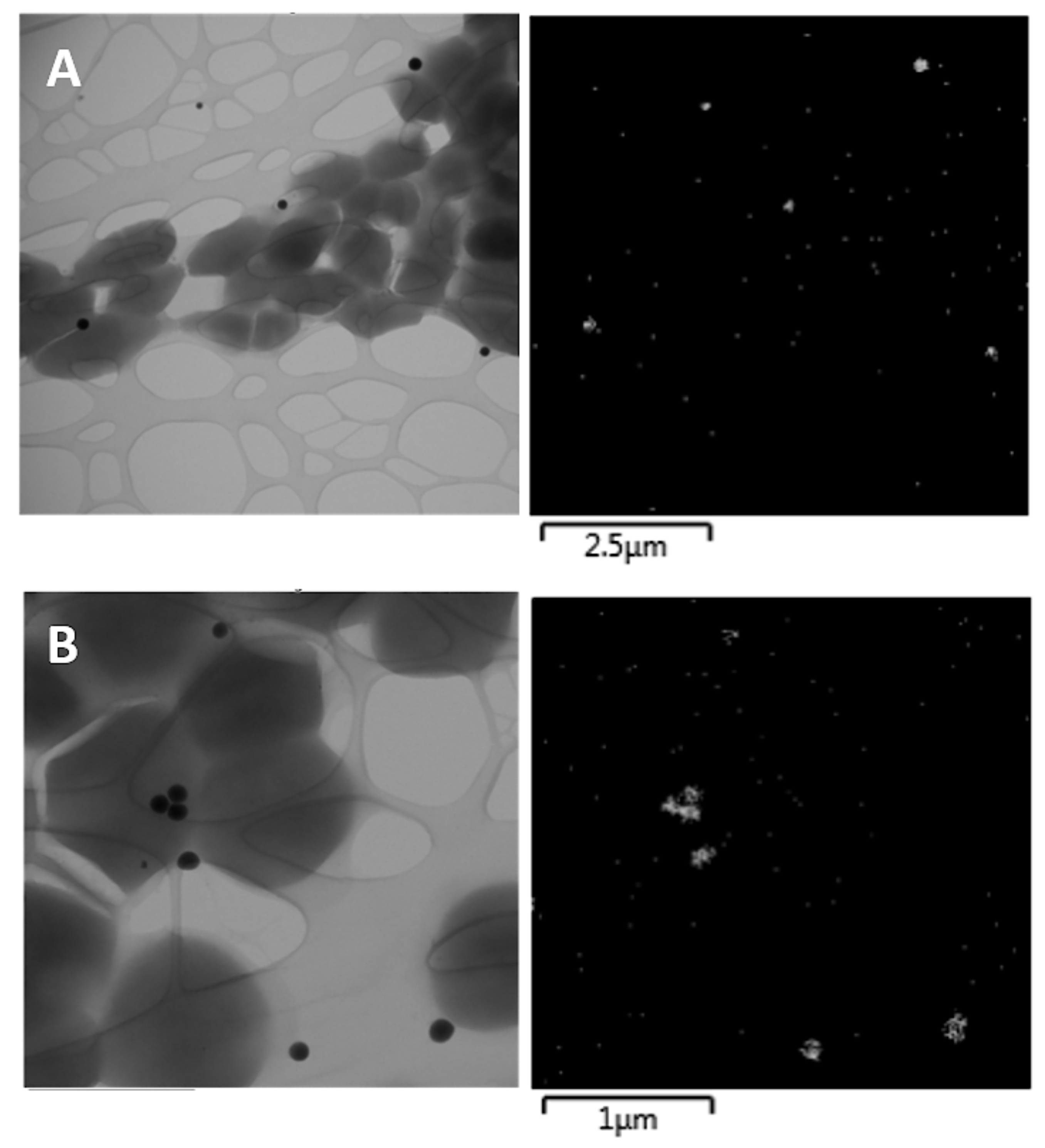 Antioxidants 10 00463 g002