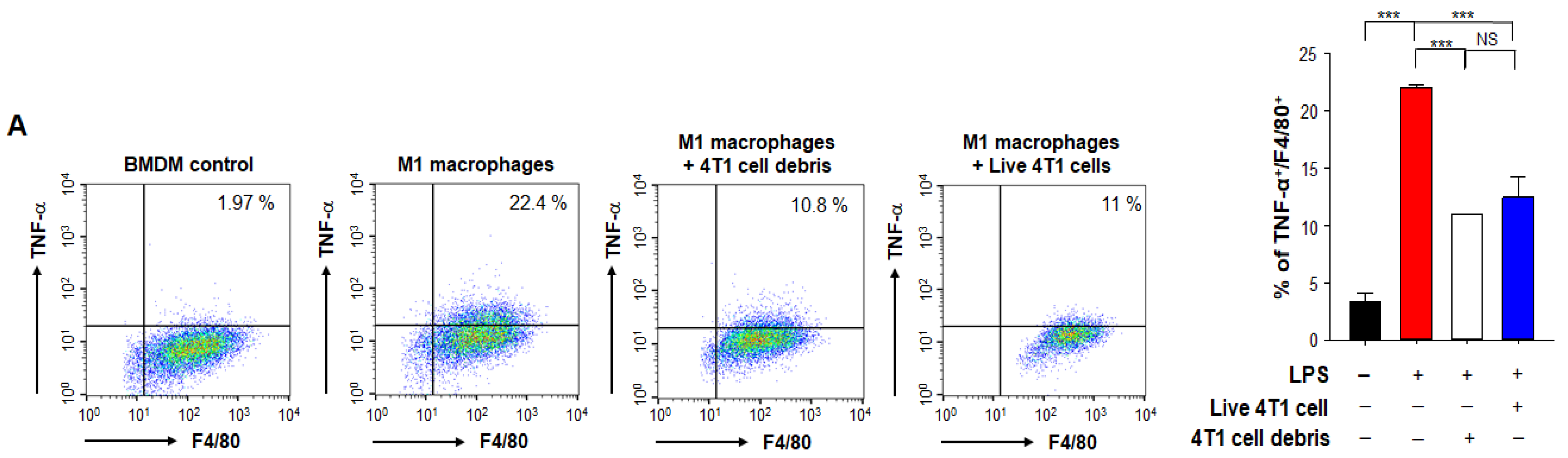 Antioxidants 10 00470 g002a