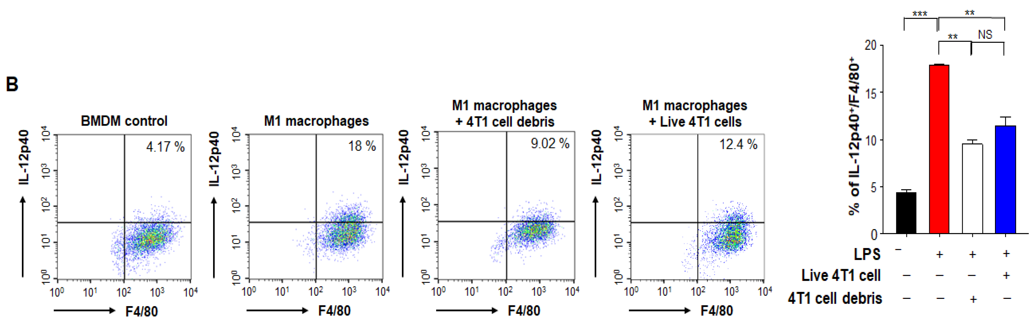 Antioxidants 10 00470 g002b