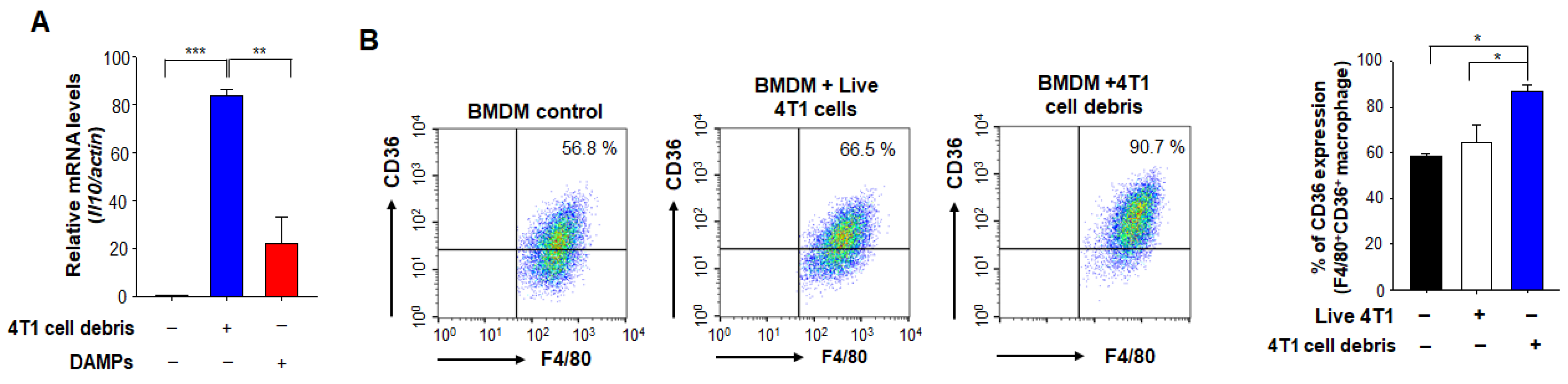 Antioxidants 10 00470 g003