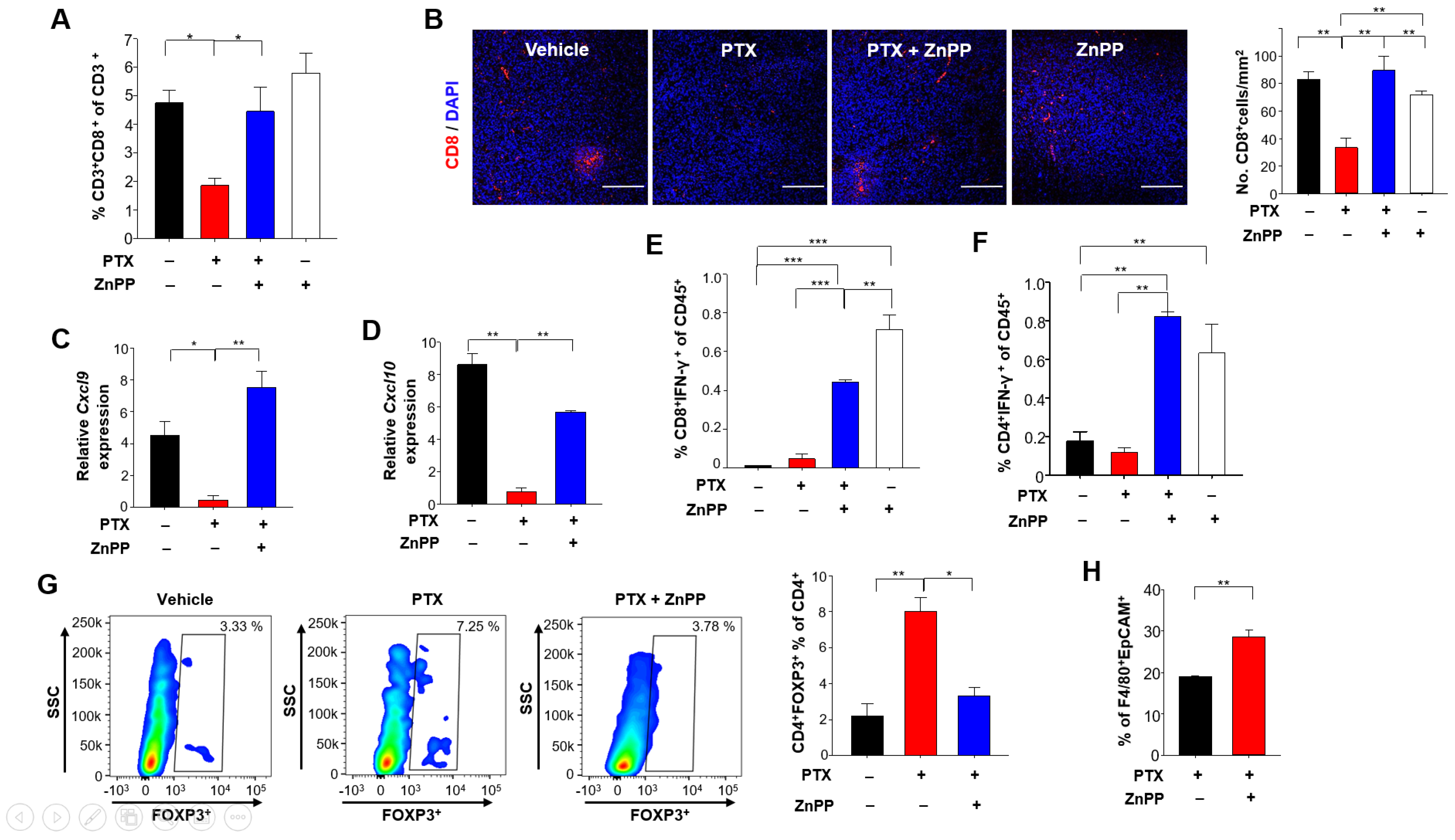Antioxidants 10 00470 g006