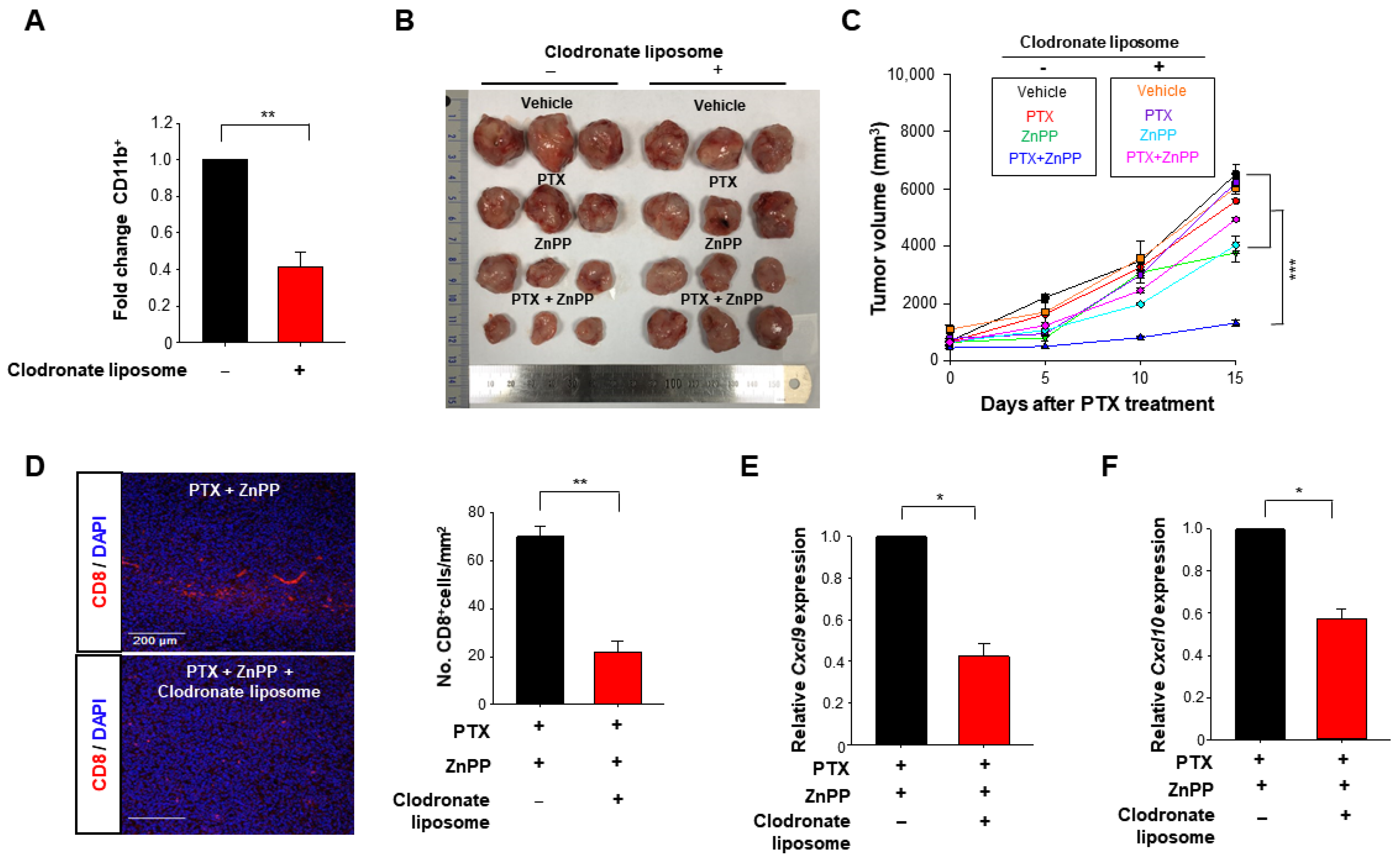 Antioxidants 10 00470 g007