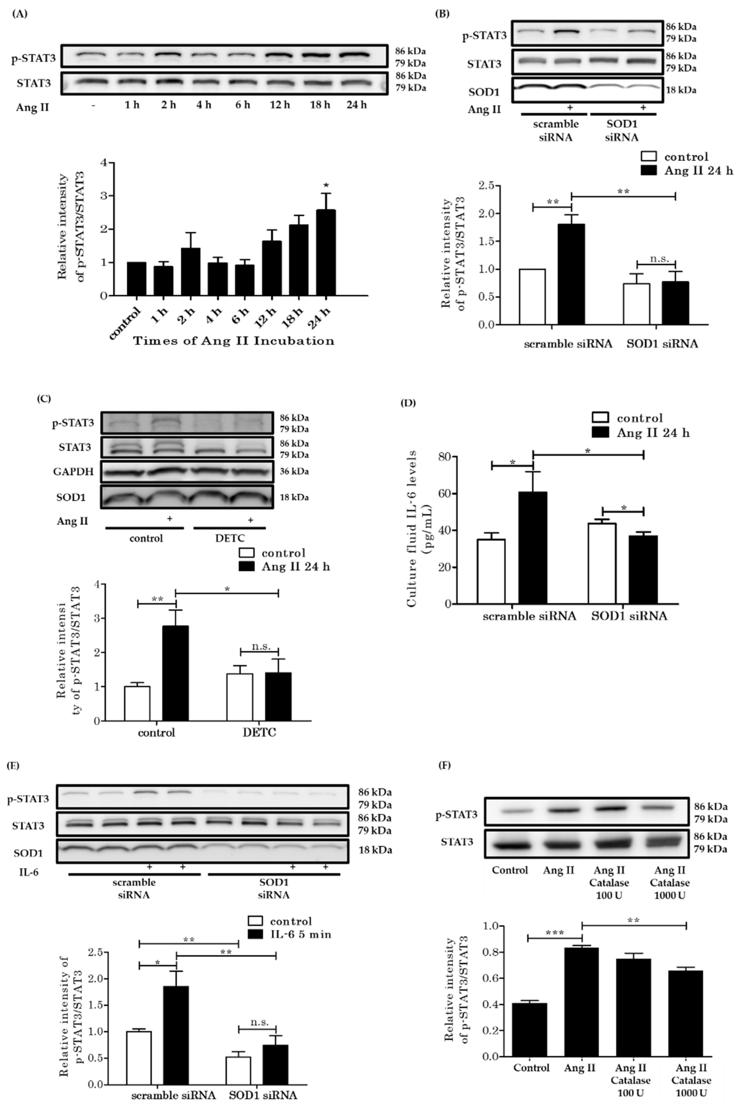 Antioxidants 10 00471 g006 Antioxidants 10 00471 g006