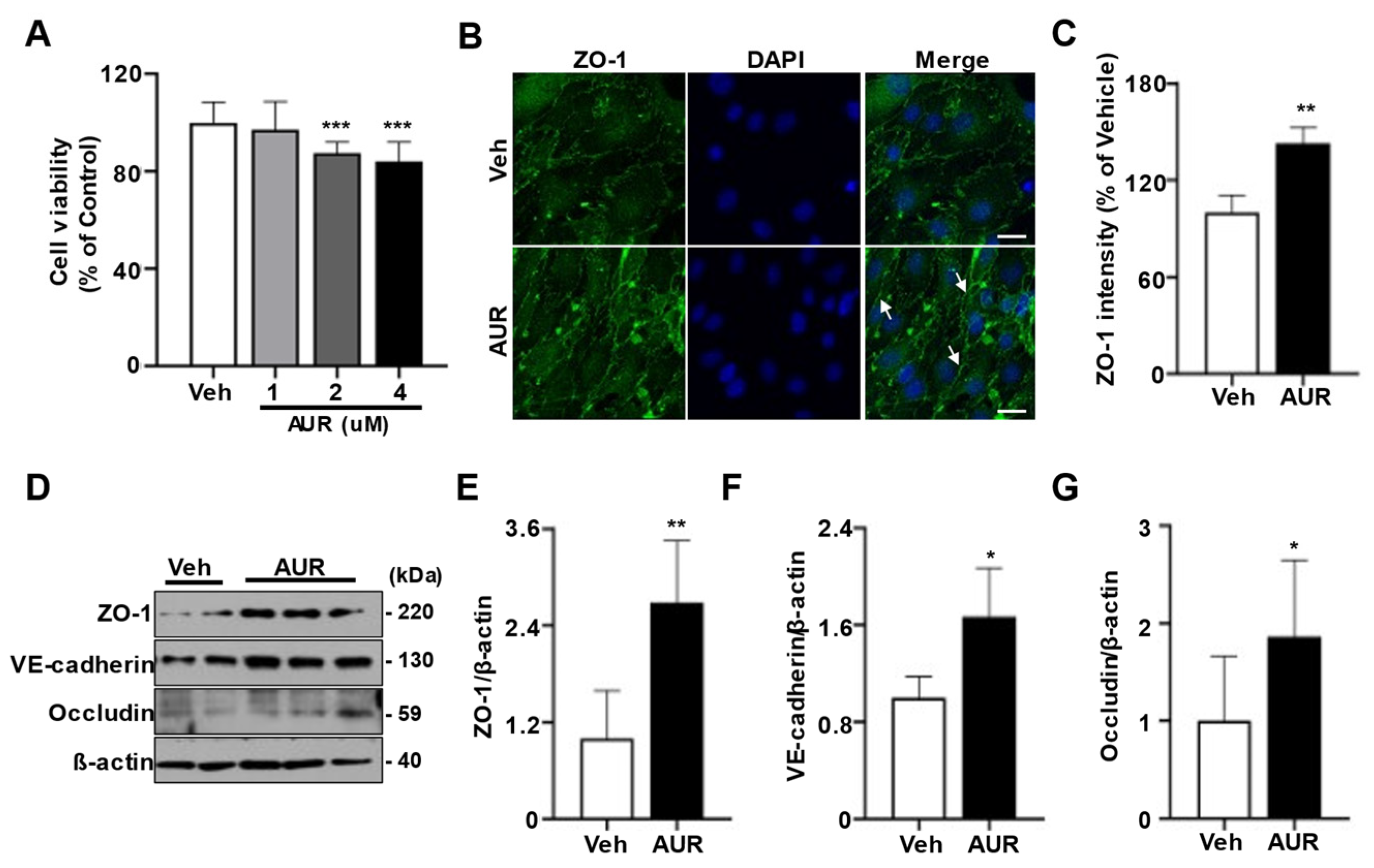 Antioxidants 10 00475 g001