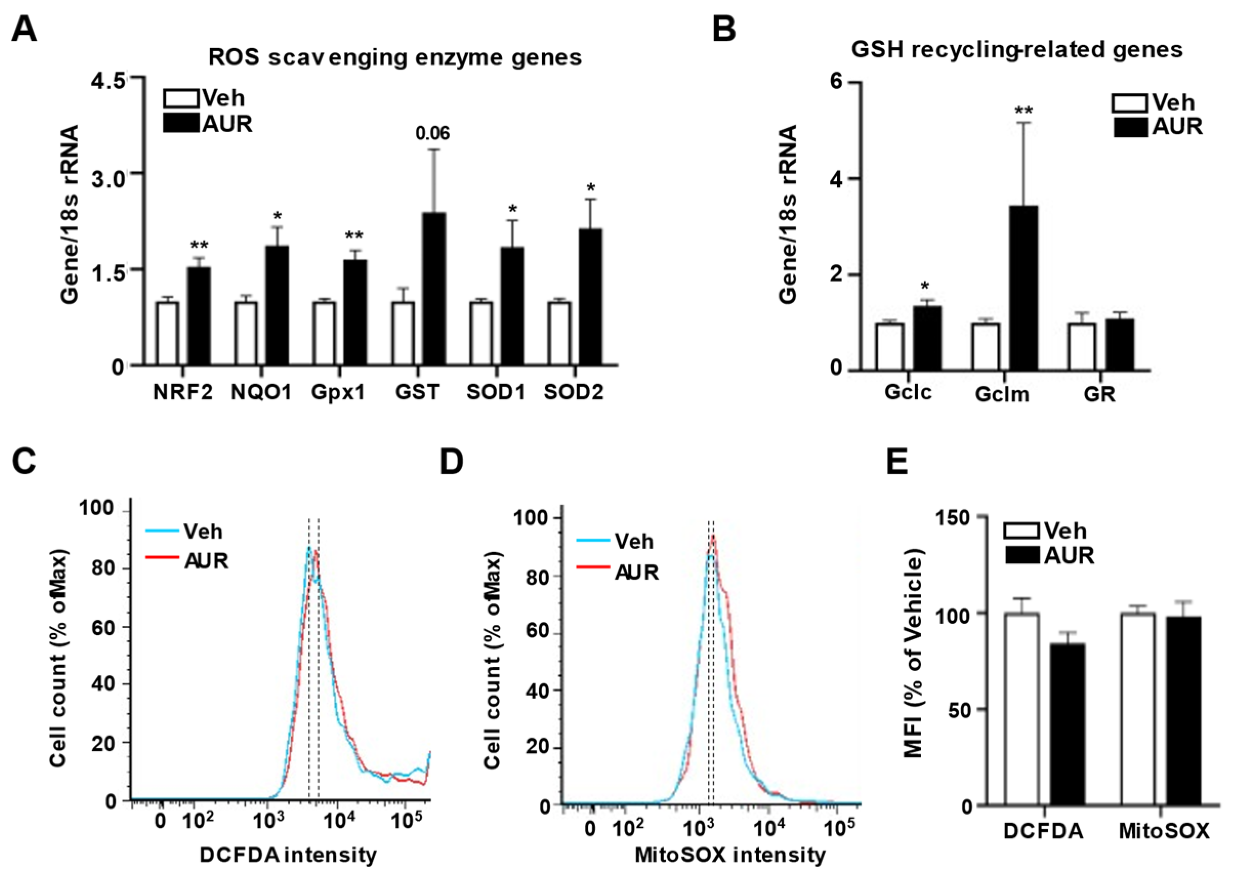 Antioxidants 10 00475 g002