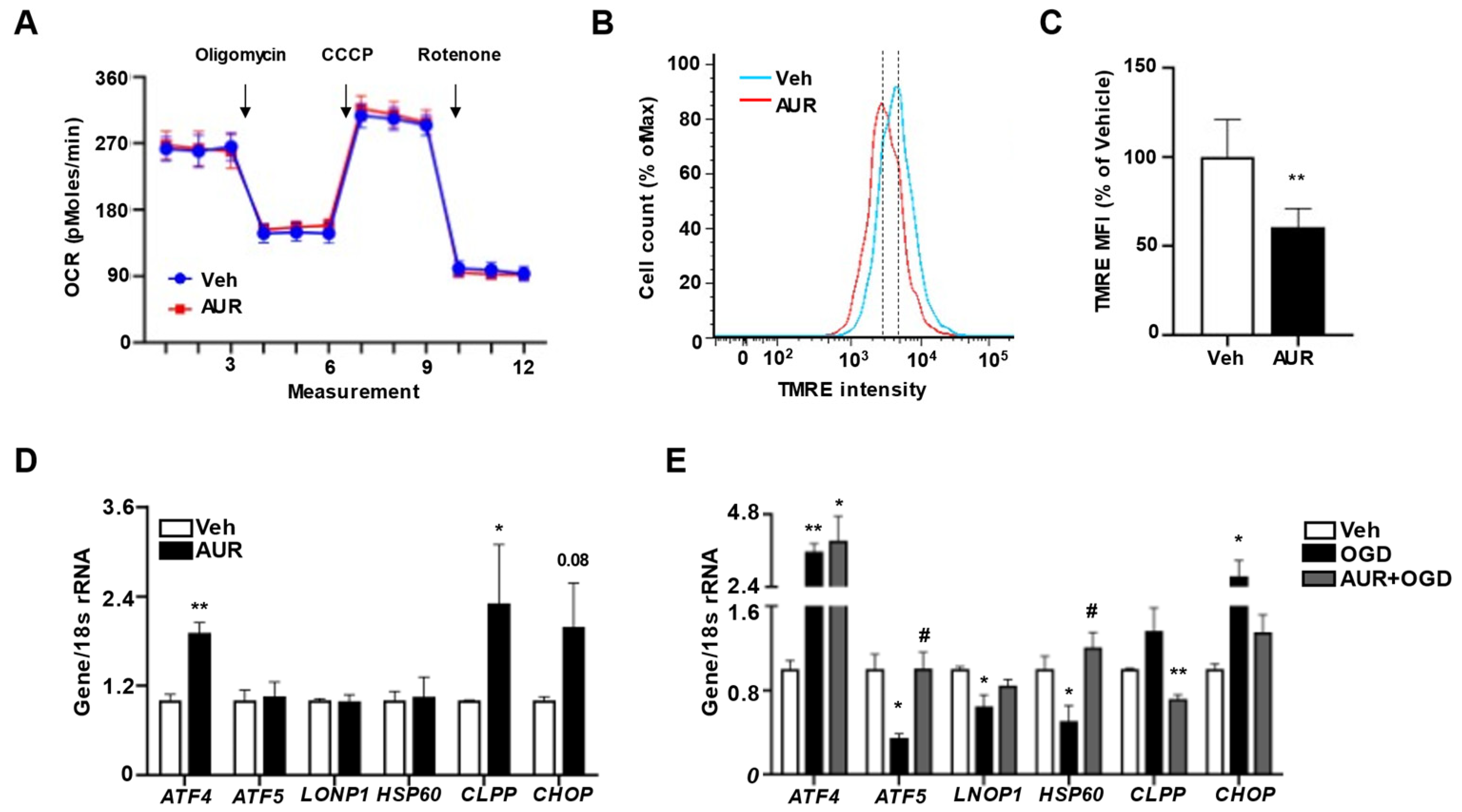 Antioxidants 10 00475 g003