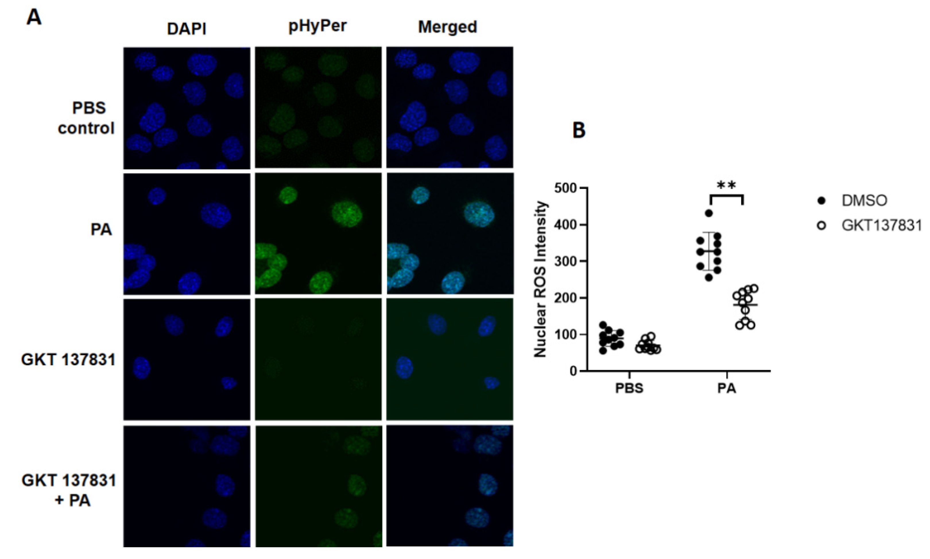 Antioxidants 10 00477 g005
