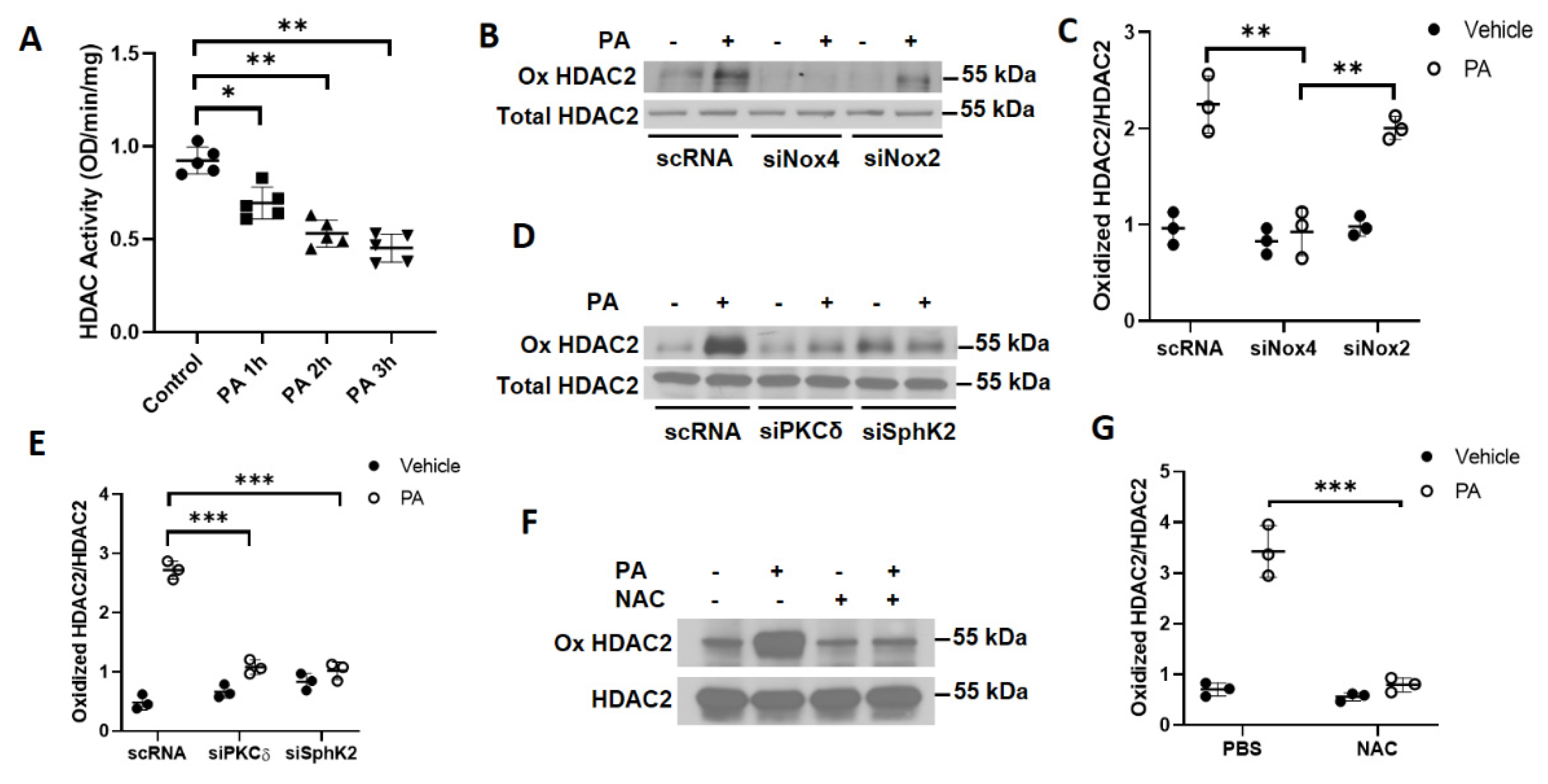 Antioxidants 10 00477 g007