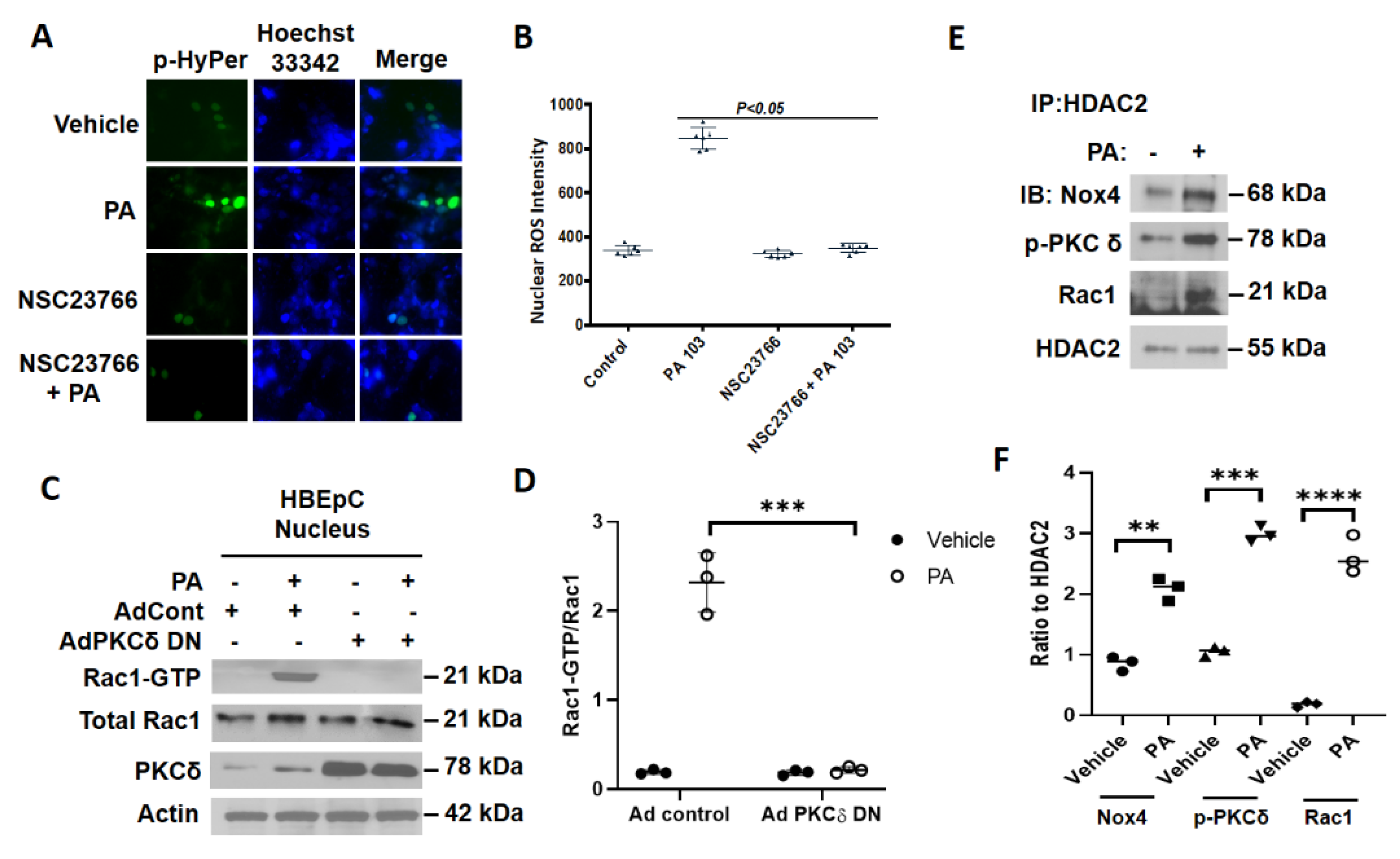 Antioxidants 10 00477 g008