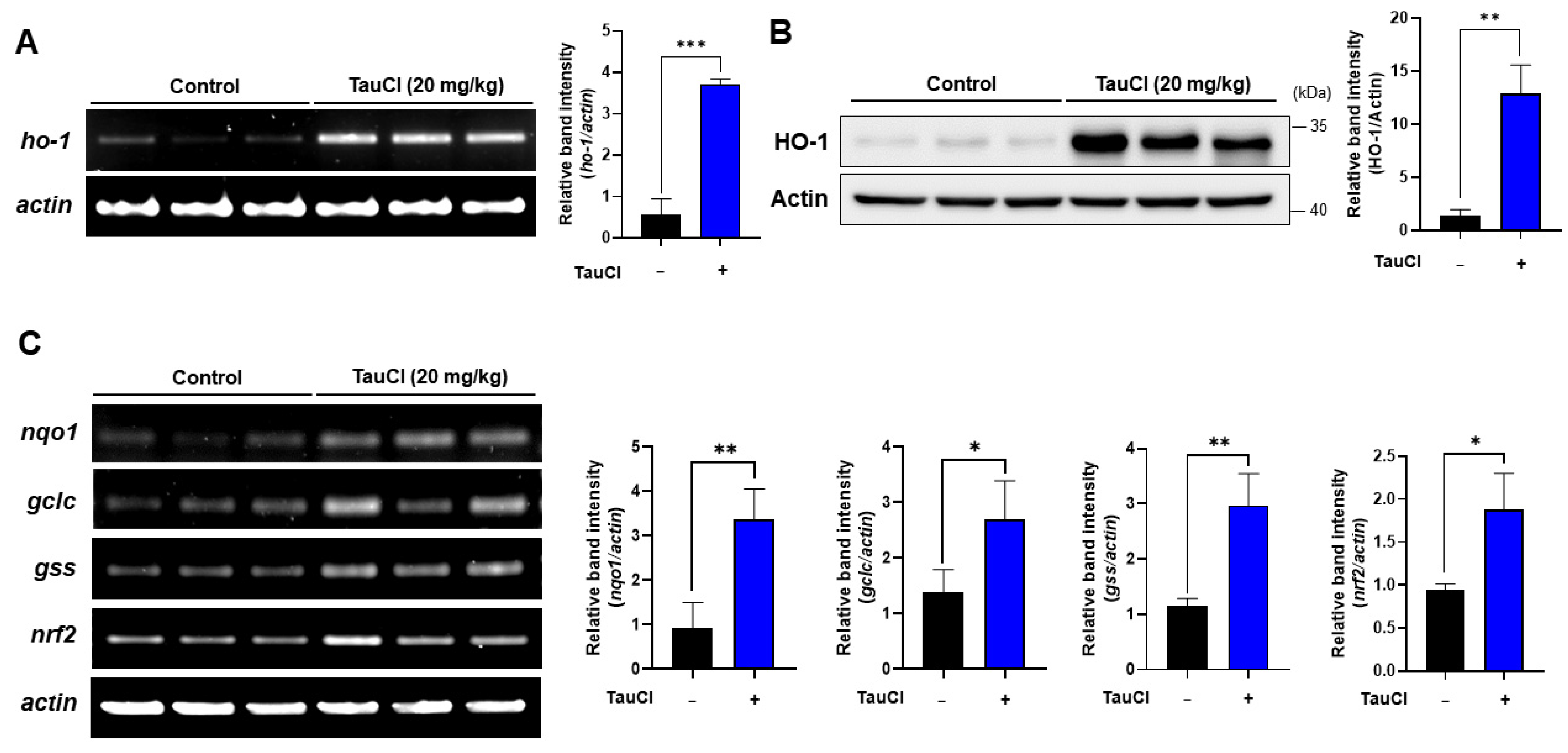 Antioxidants 10 00479 g006