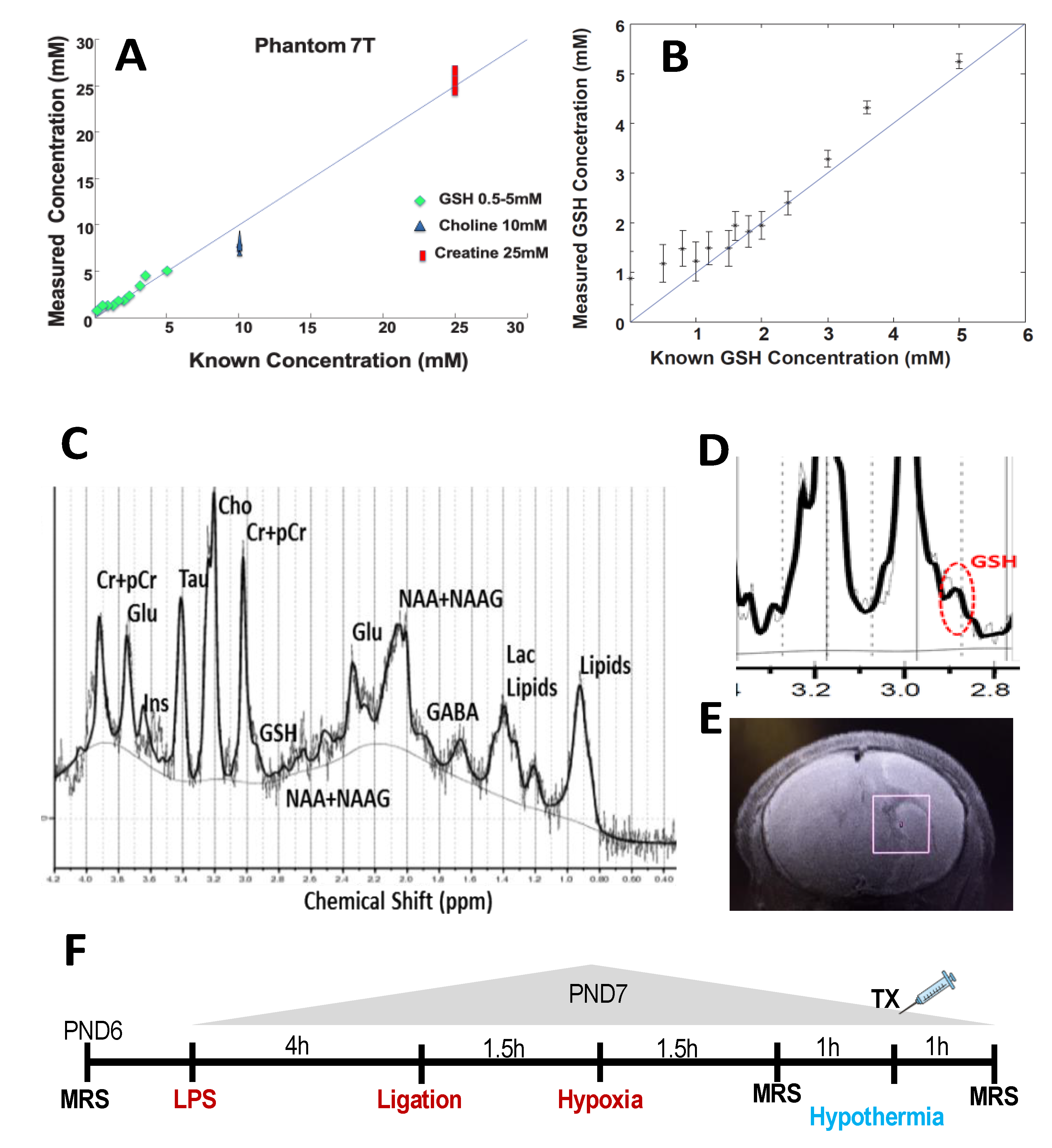 Antioxidants 10 00489 g001