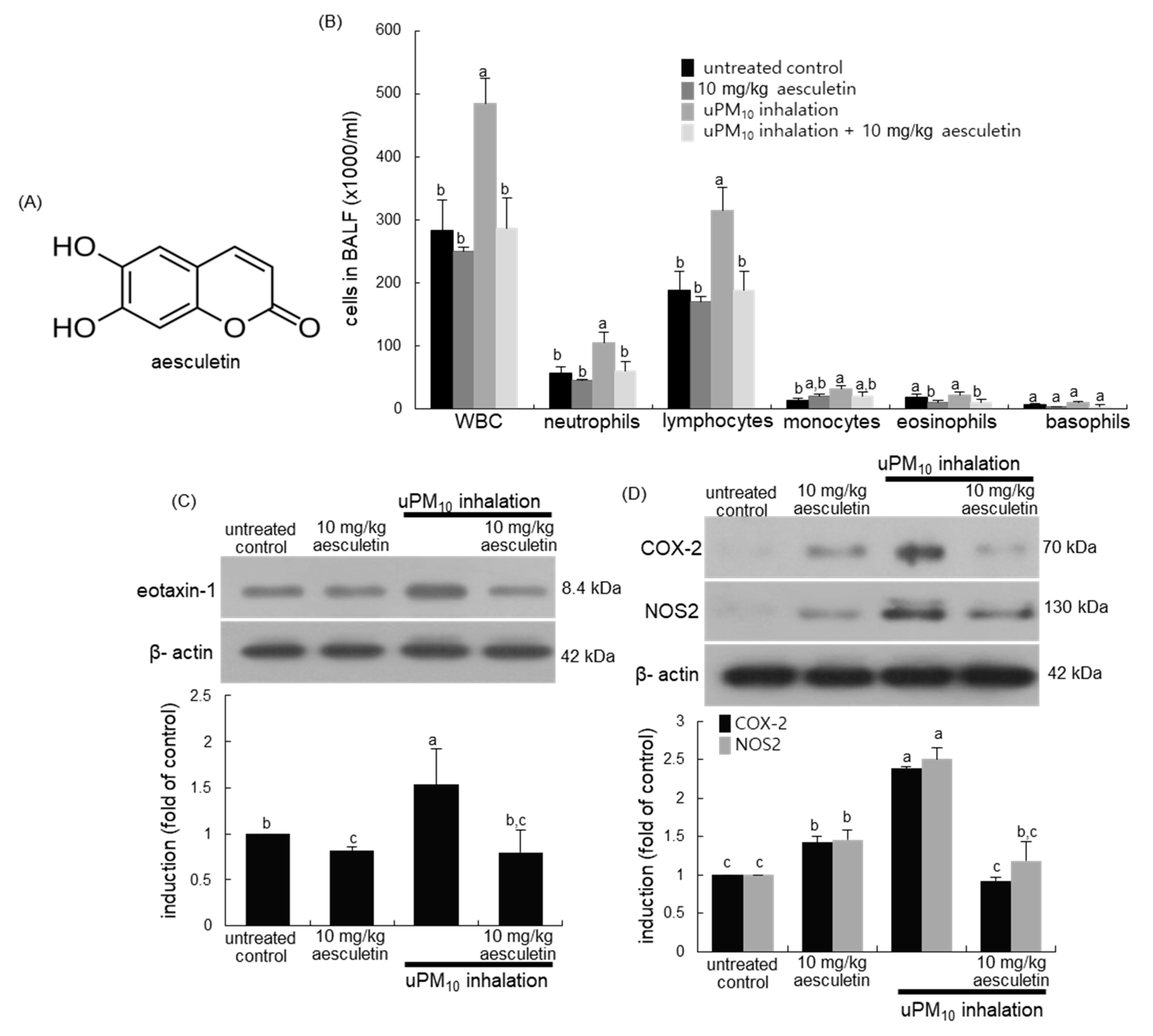 Antioxidants 10 00494 g001