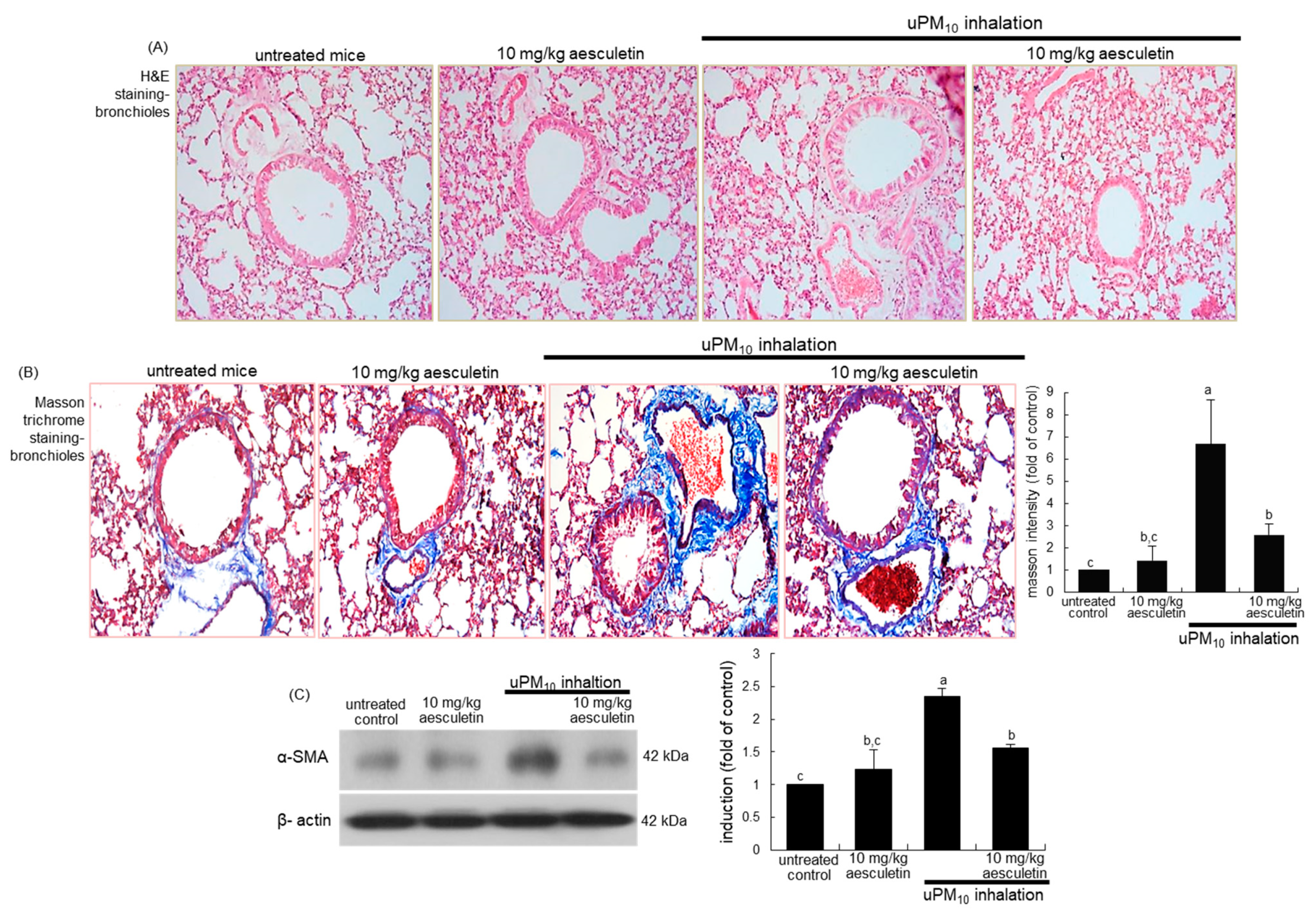 Antioxidants 10 00494 g002