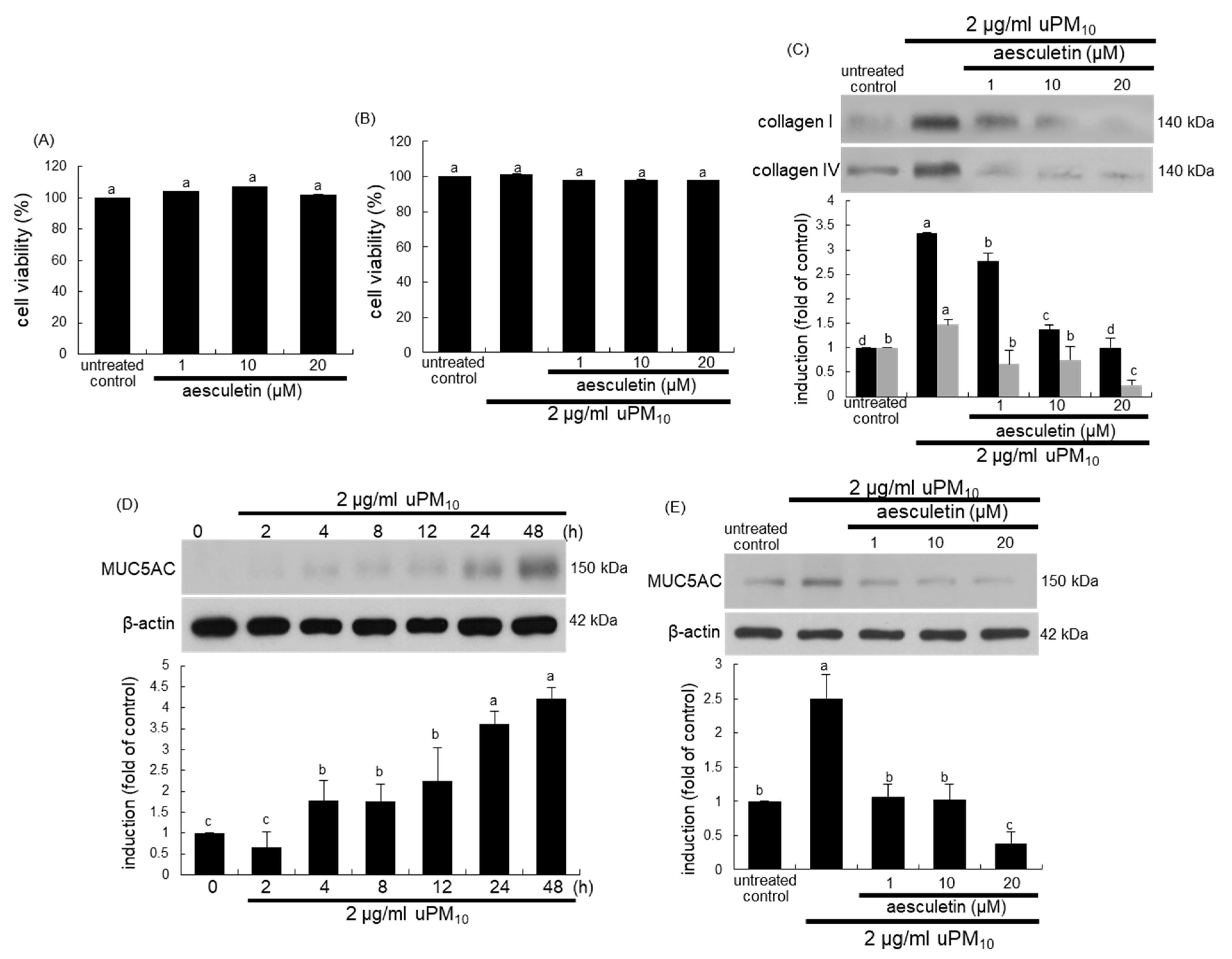 Antioxidants 10 00494 g004