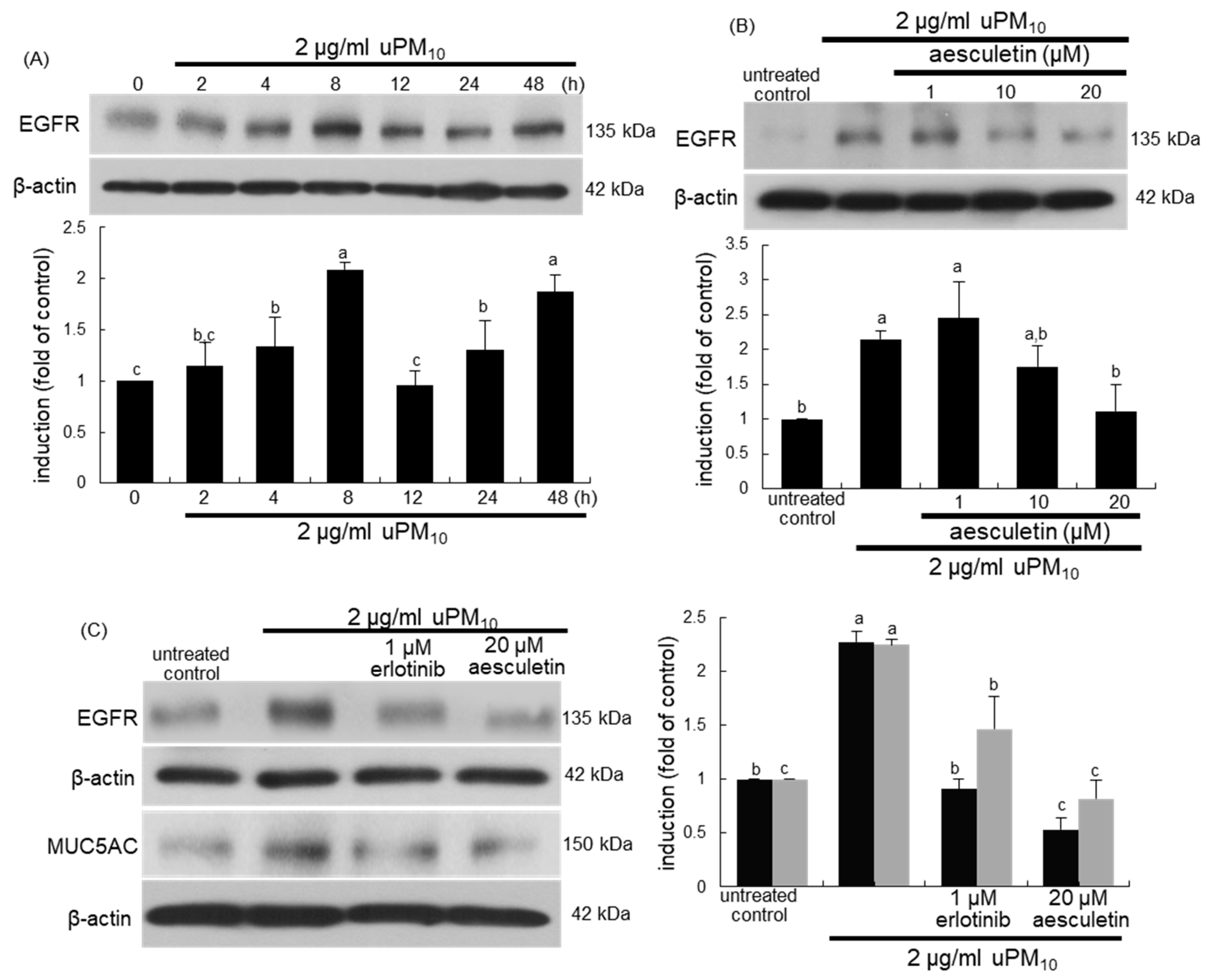 Antioxidants 10 00494 g006