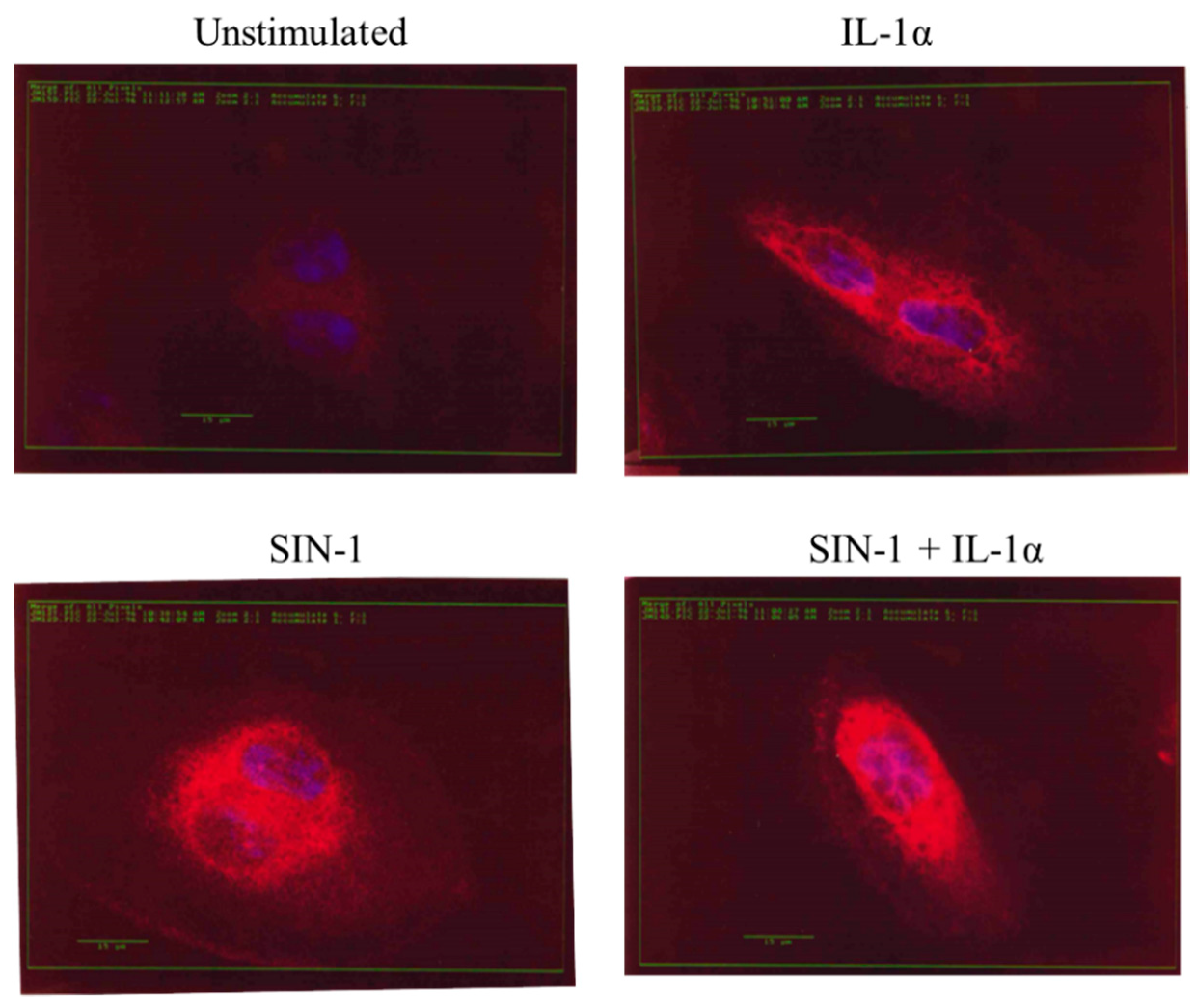 Antioxidants 10 00496 g009