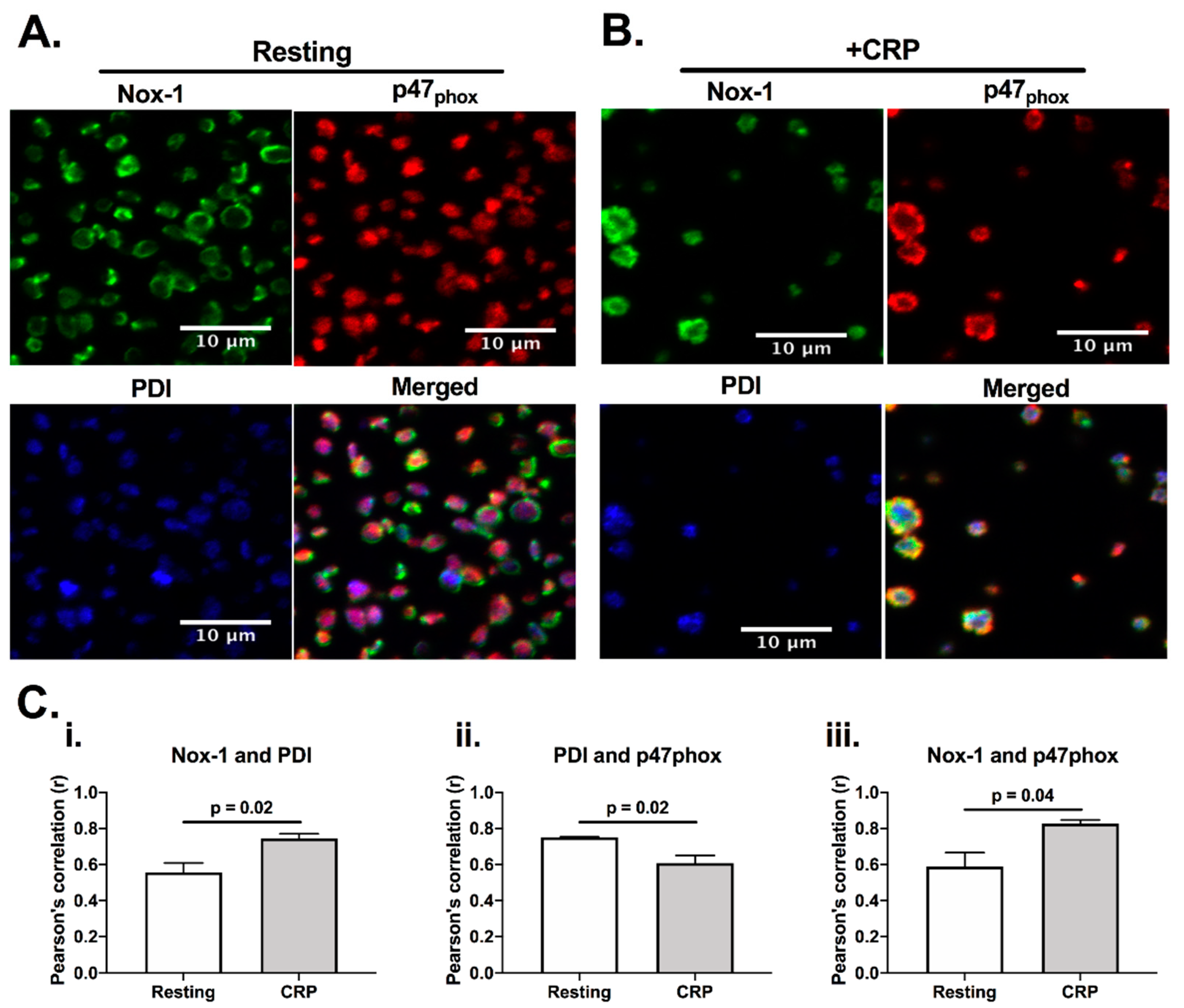 Antioxidants 10 00497 g001