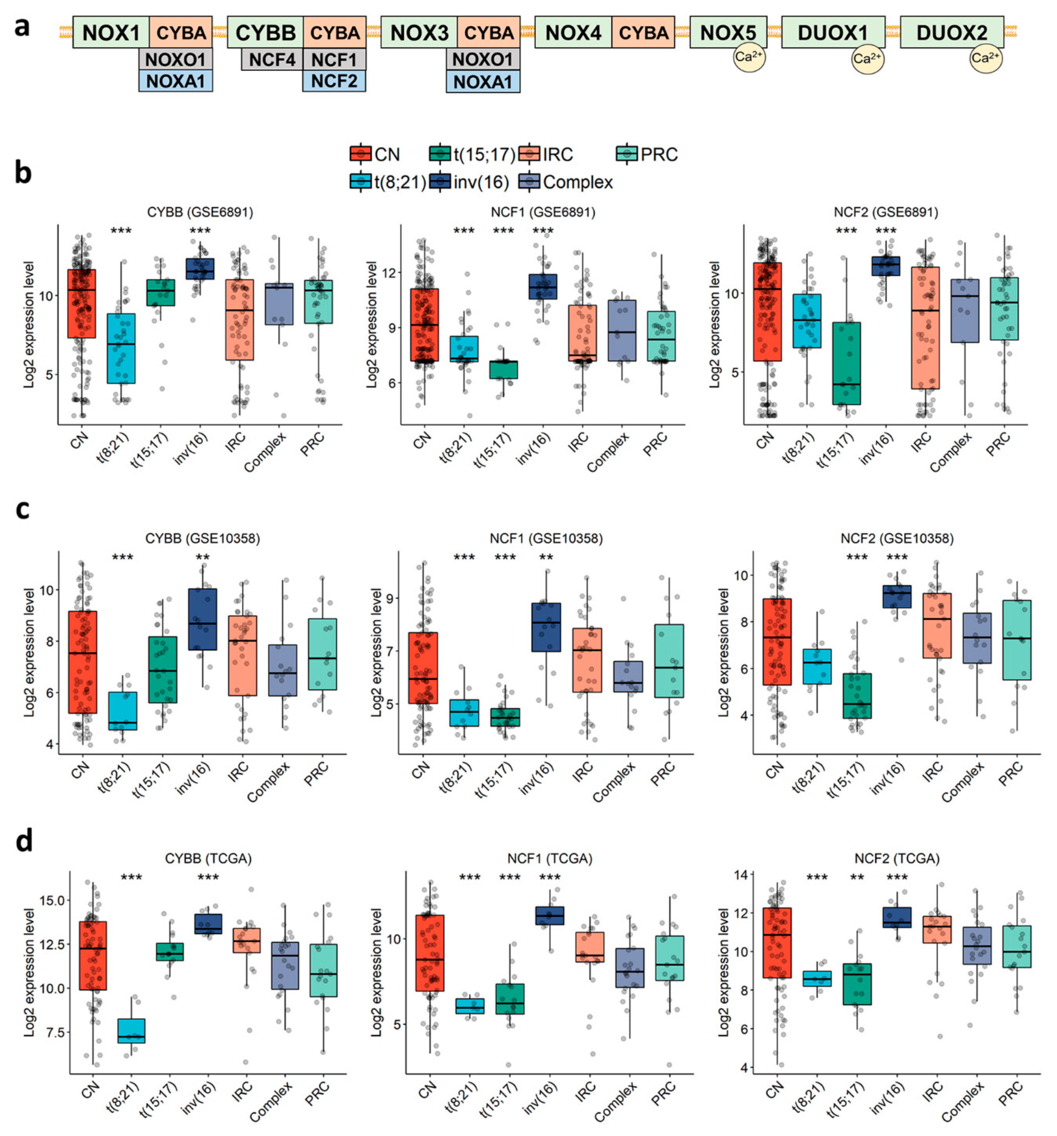 Antioxidants 10 00498 g001