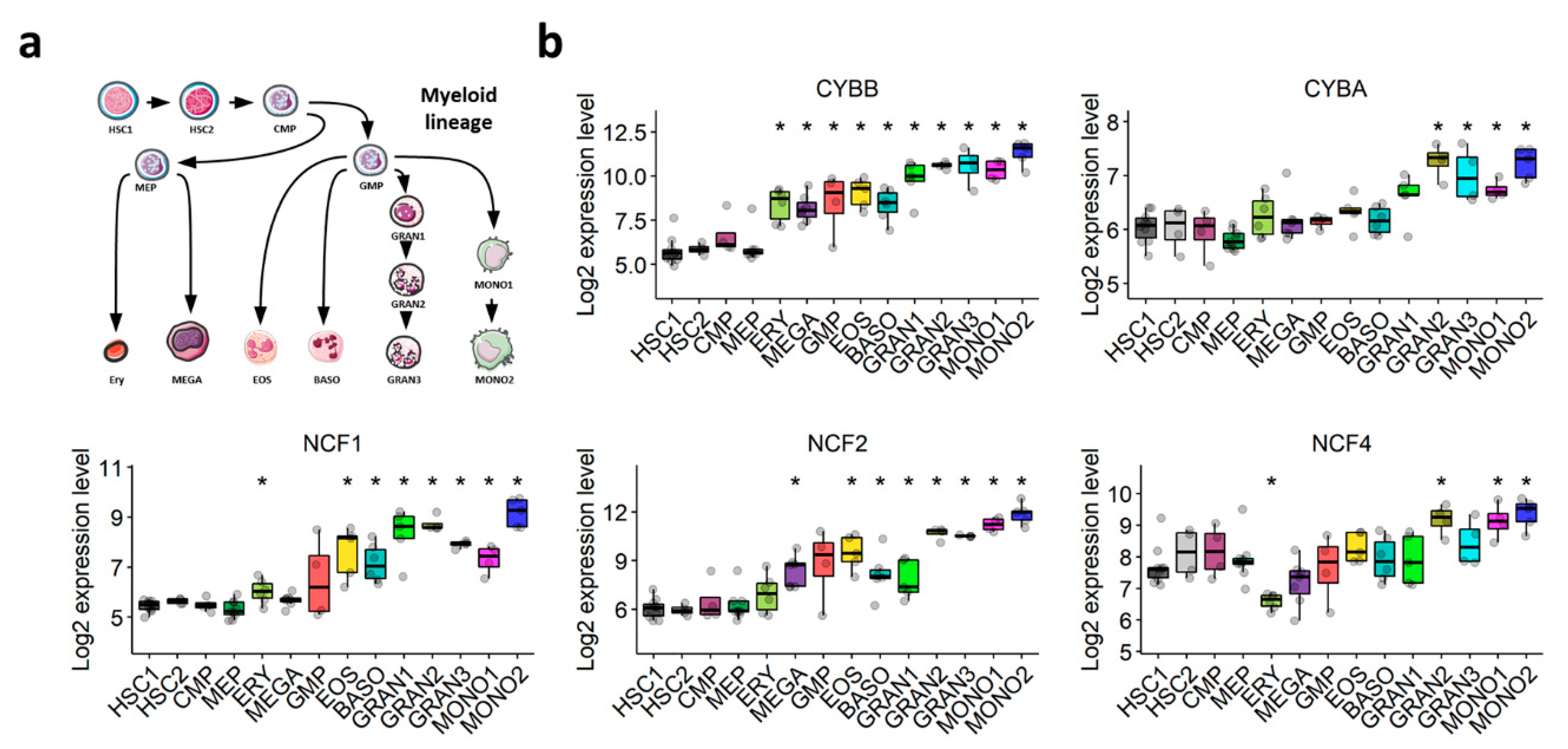 Antioxidants 10 00498 g003
