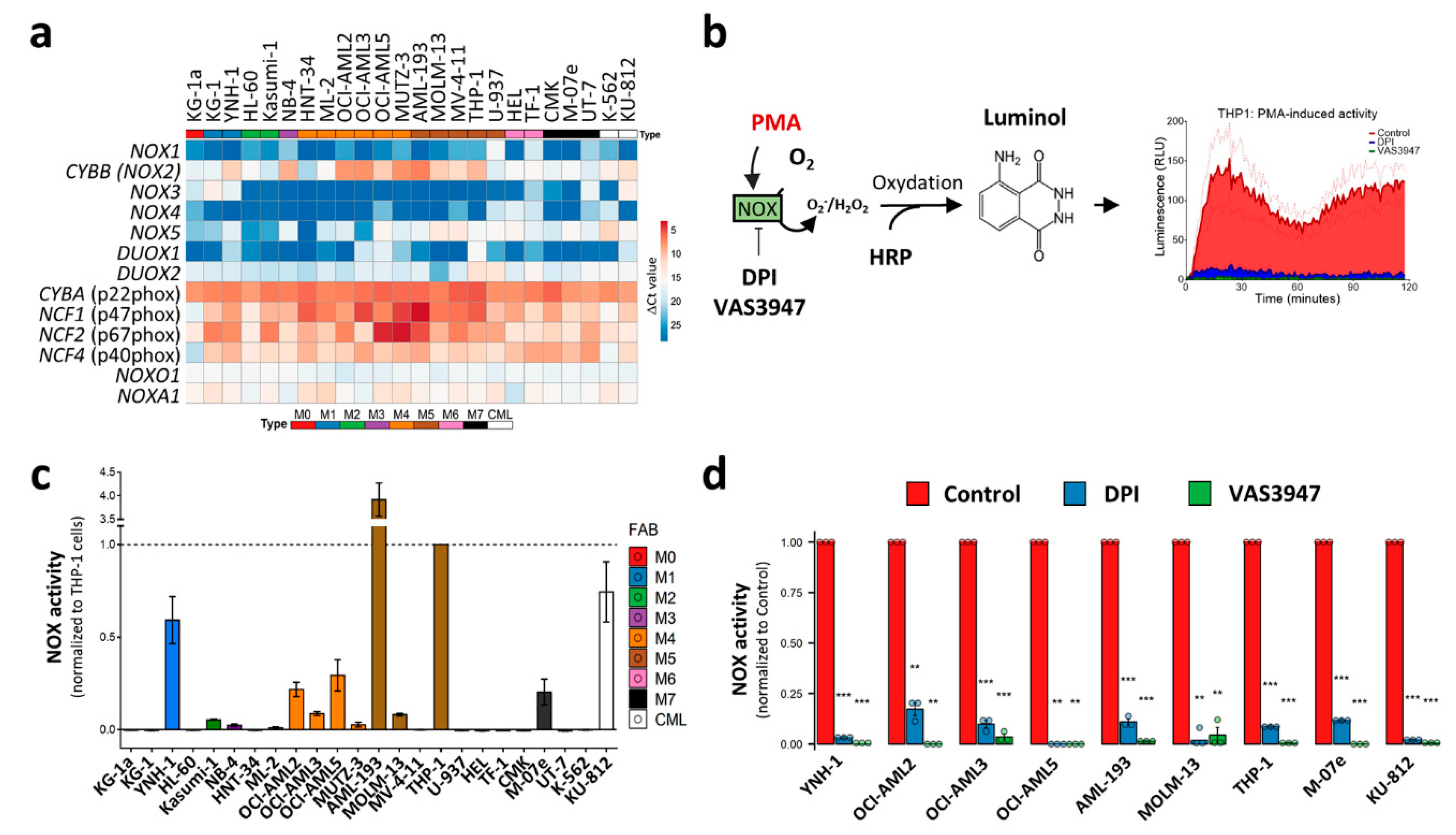 Antioxidants 10 00498 g005