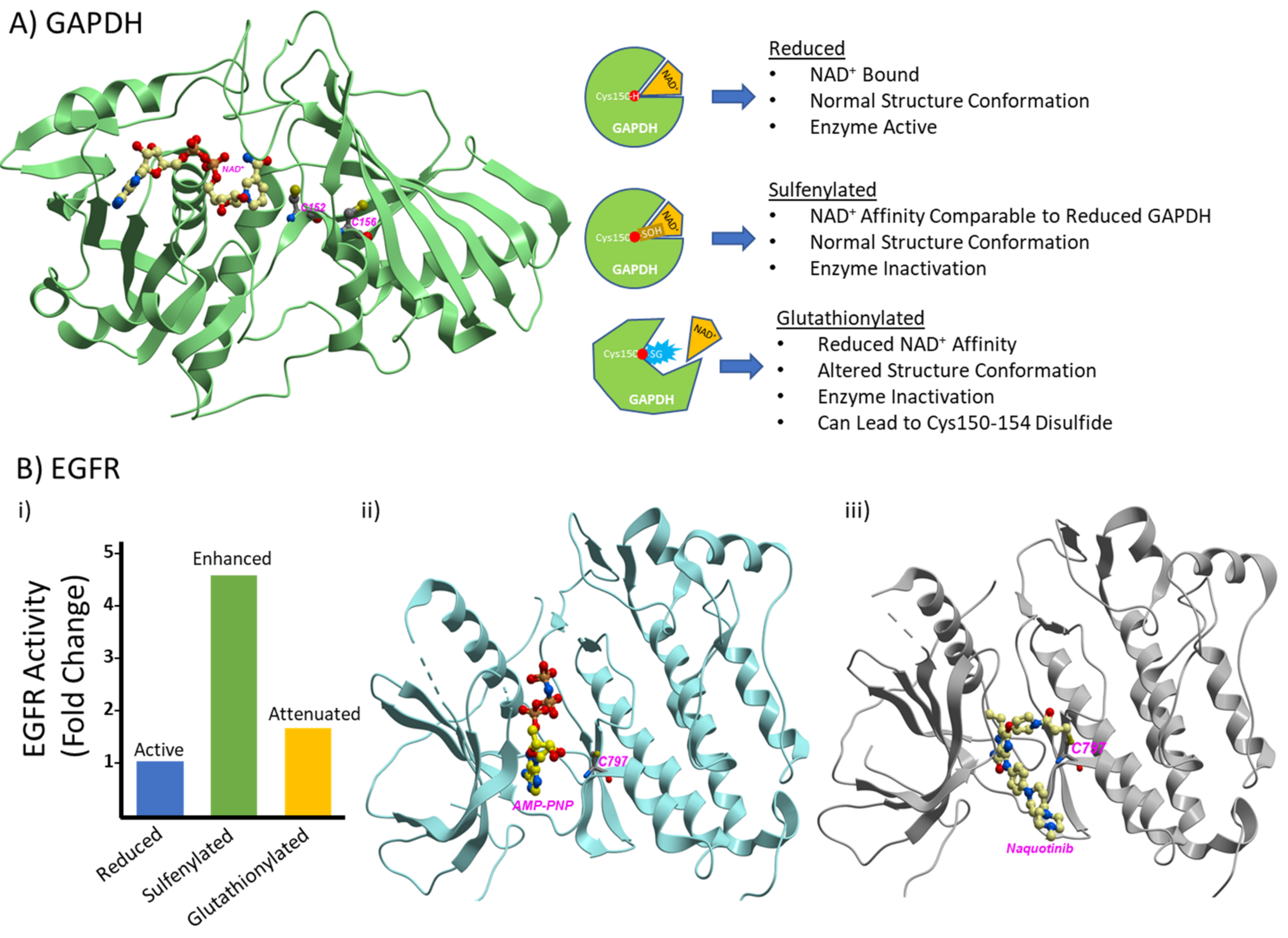 Antioxidants 10 00499 g002