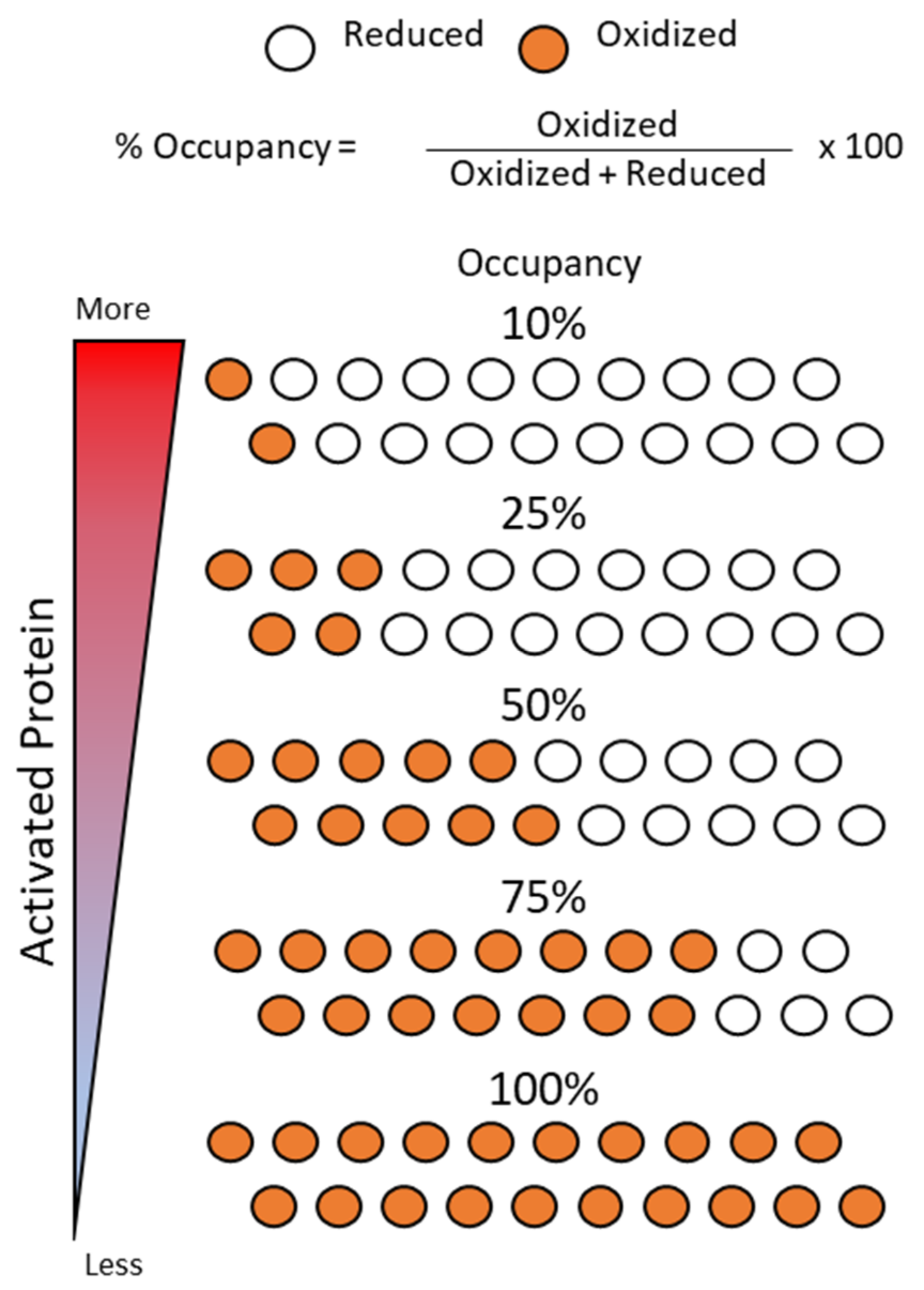 Antioxidants 10 00499 g004