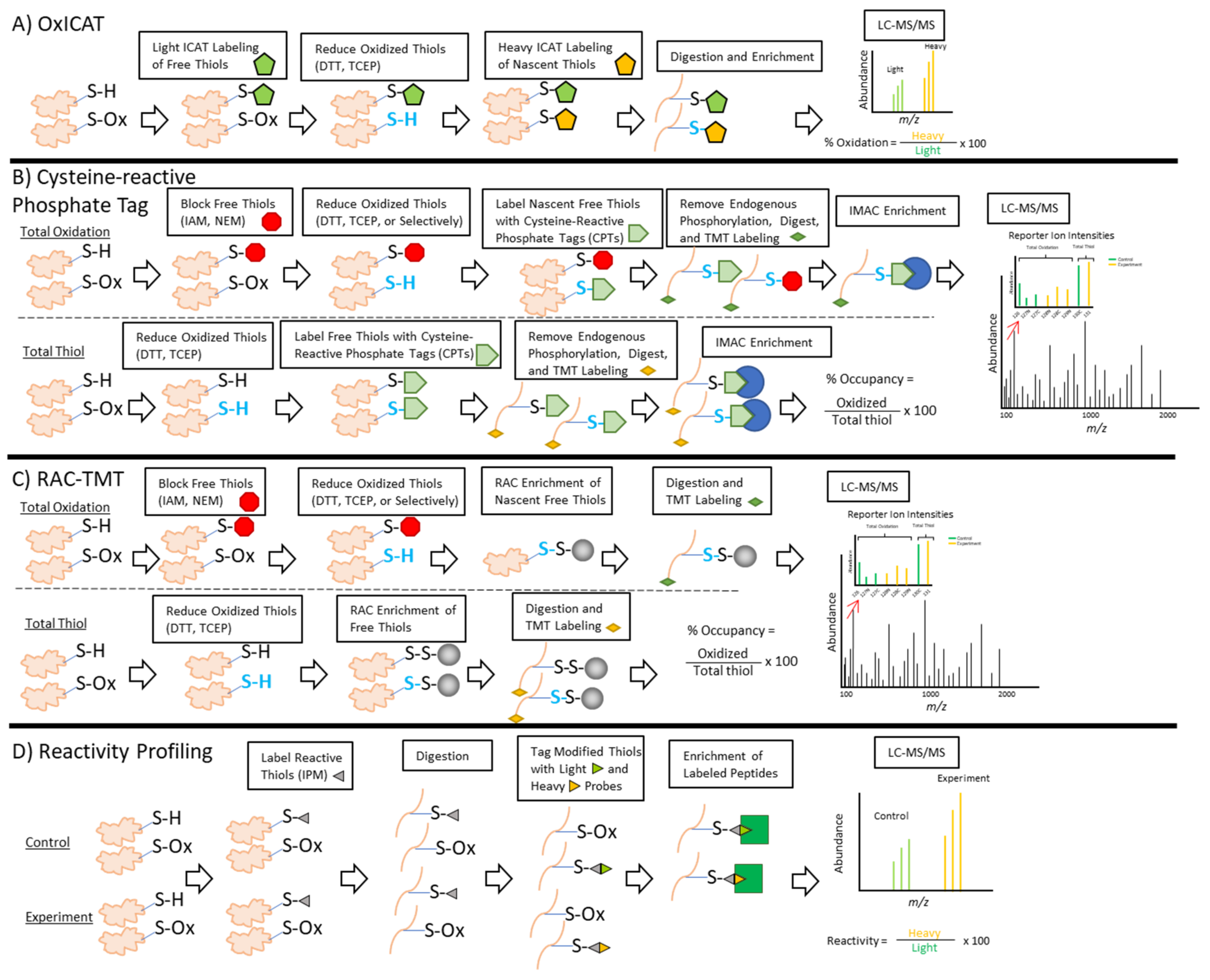 Antioxidants 10 00499 g005
