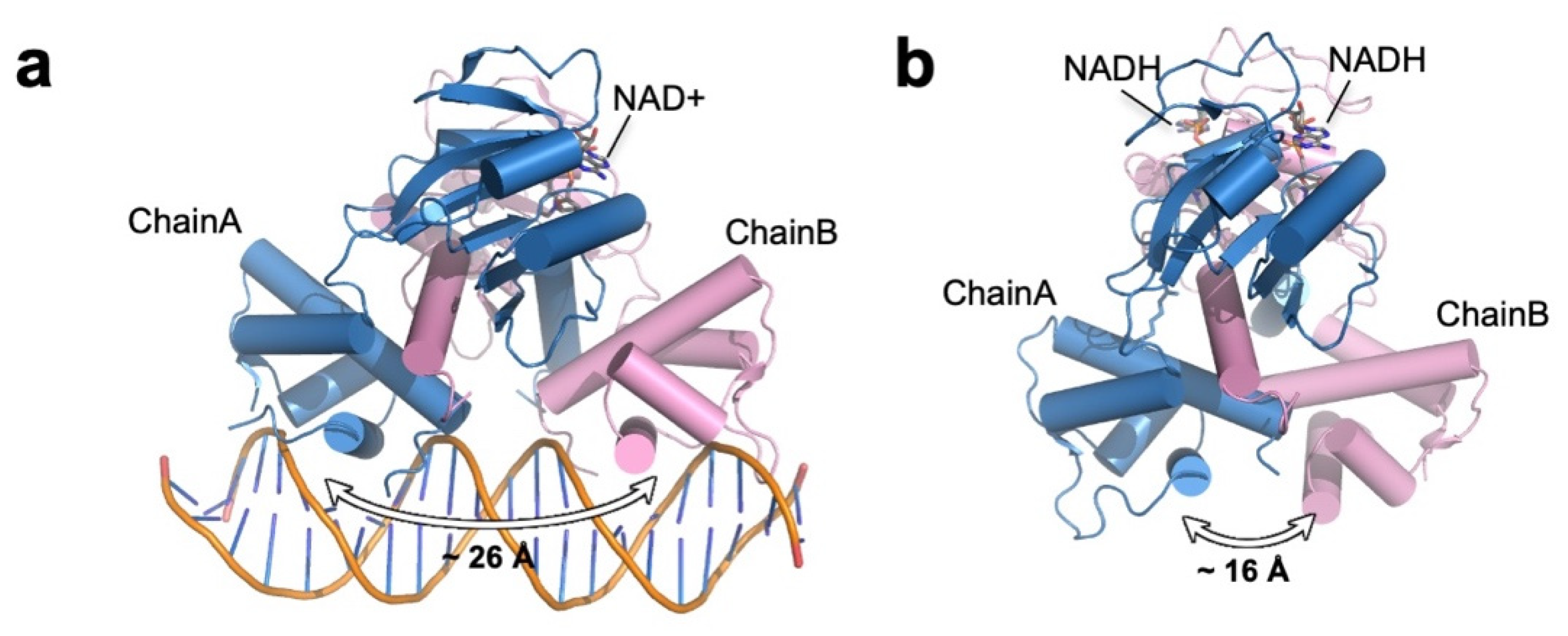 Antioxidants 10 00502 g008