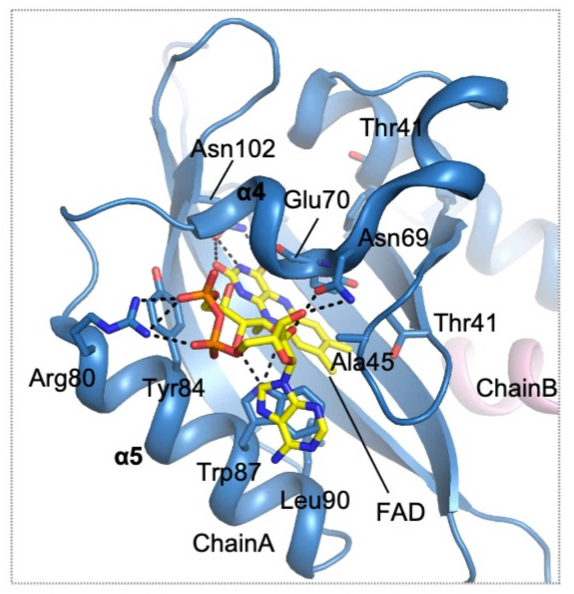 Antioxidants 10 00502 g009
