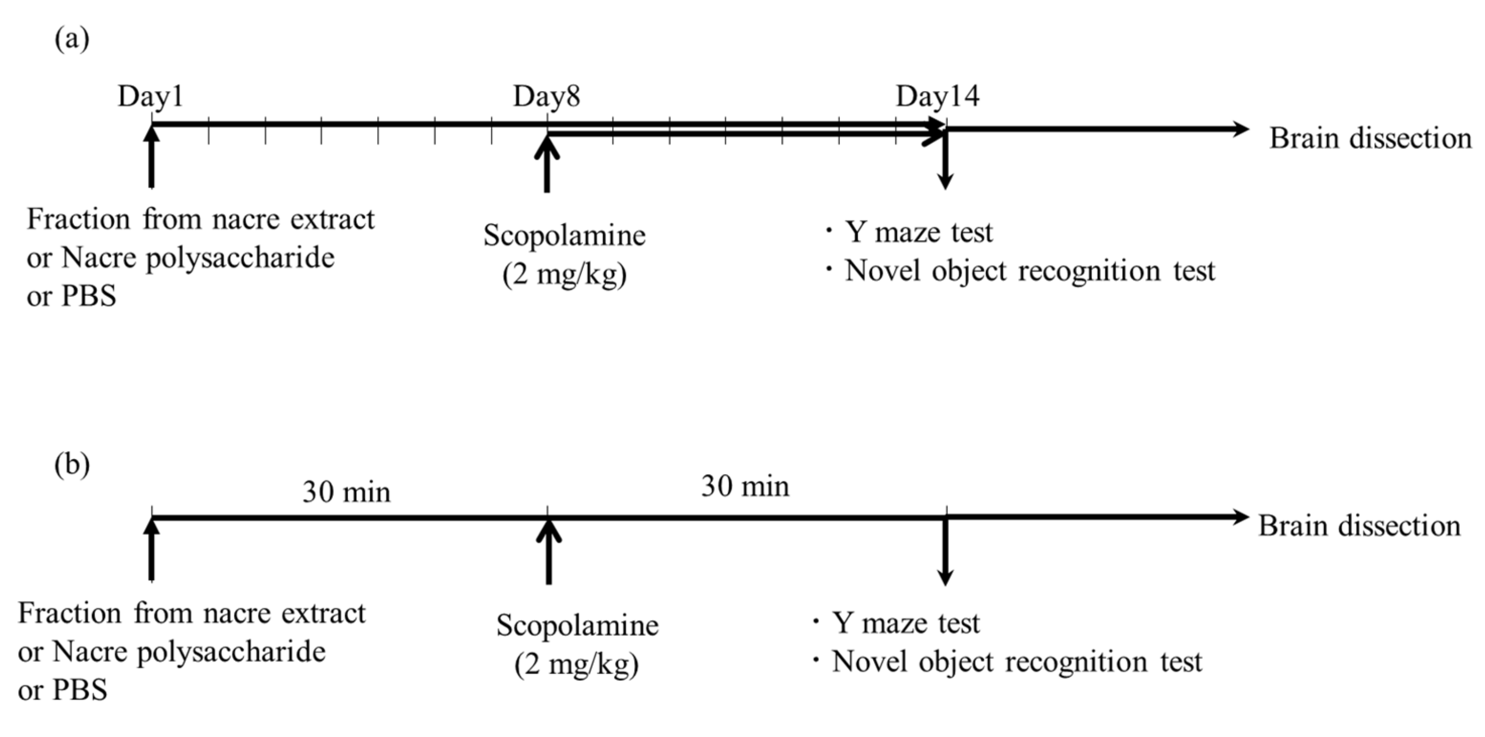 Antioxidants 10 00505 g001
