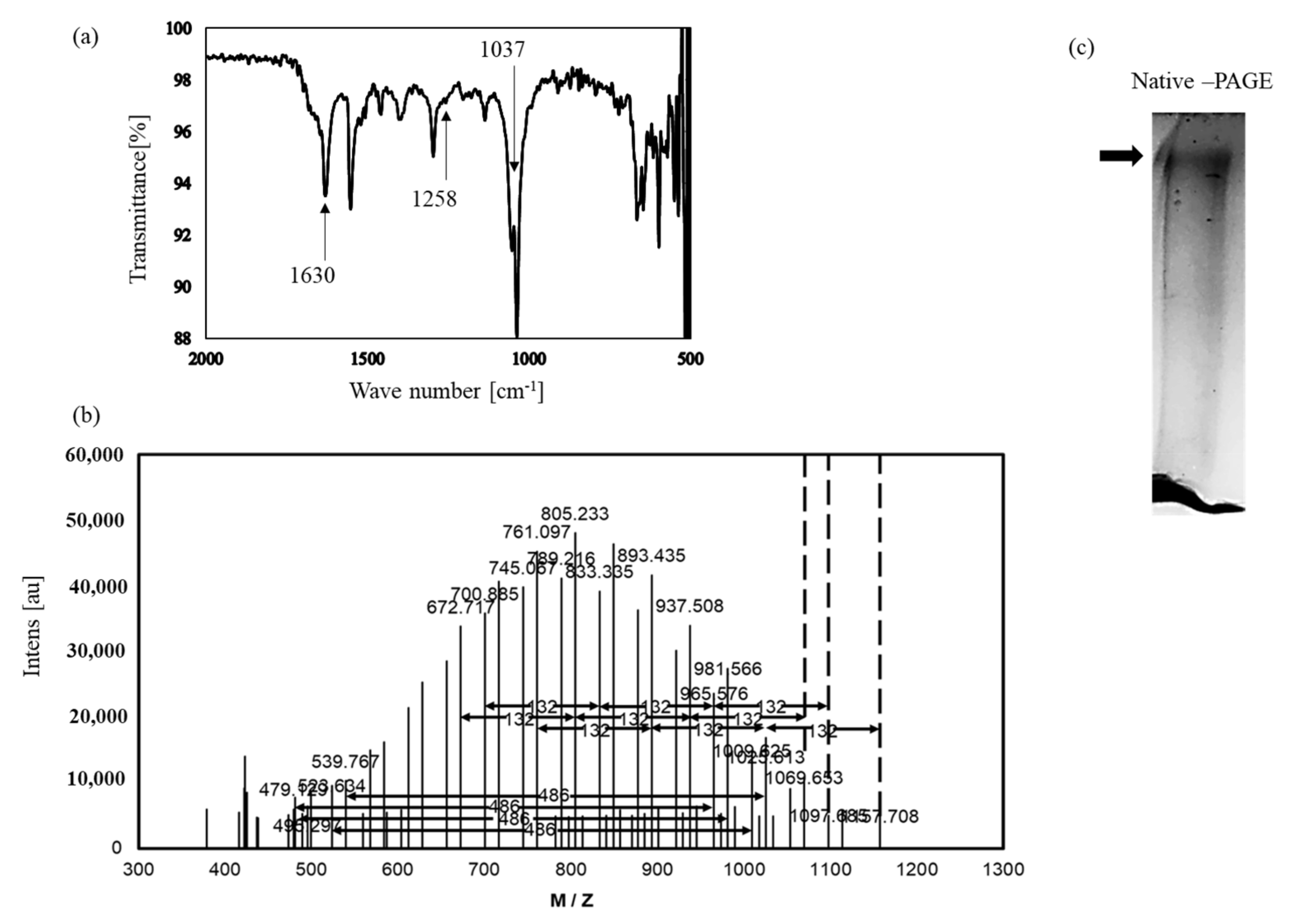 Antioxidants 10 00505 g006
