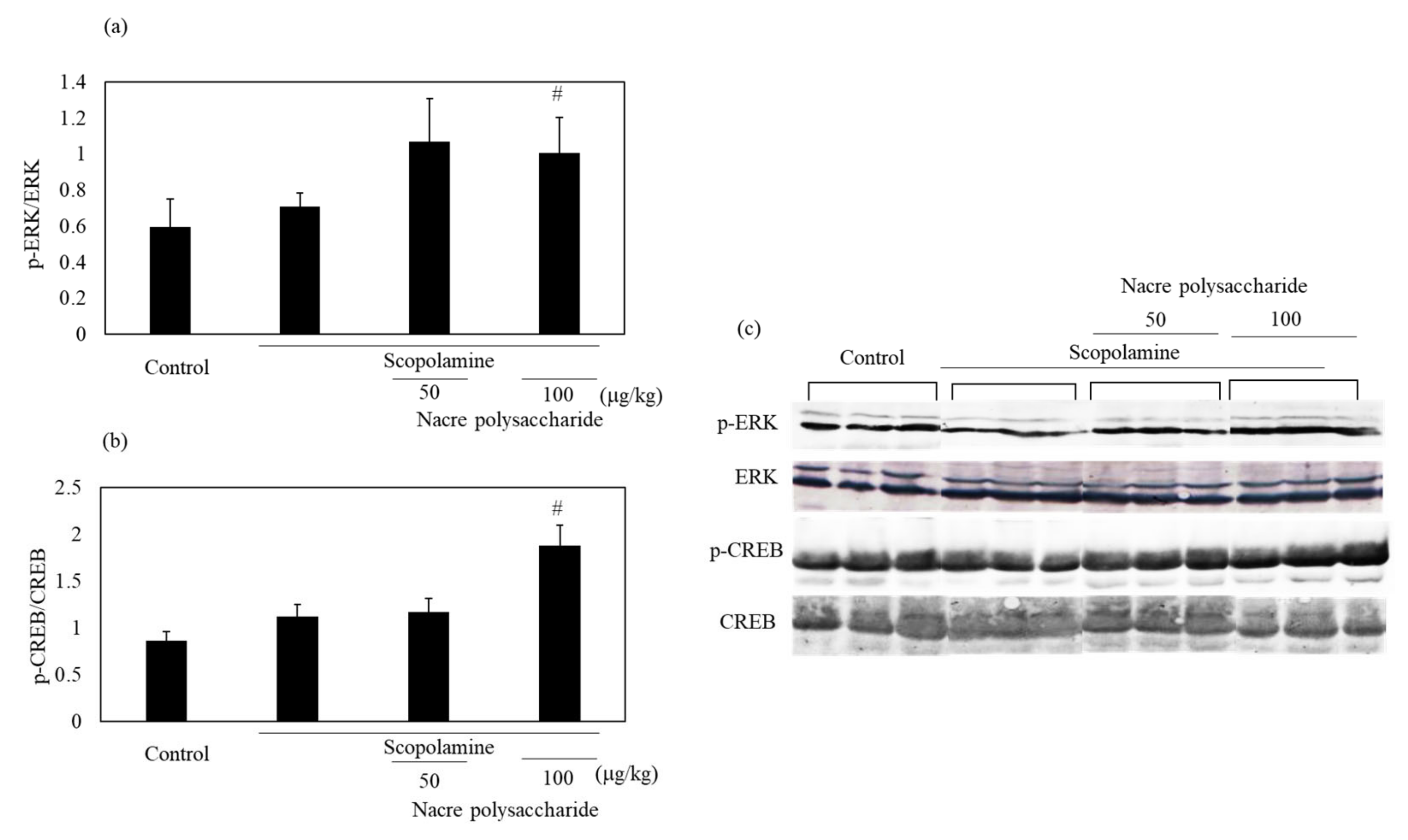 Antioxidants 10 00505 g009