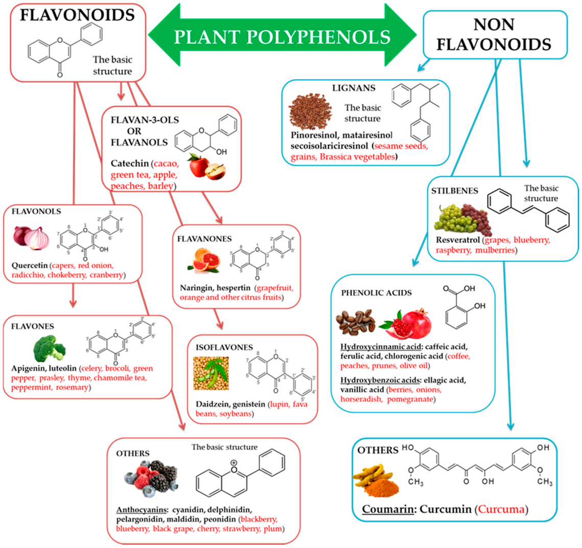Antioxidants 10 00507 g001