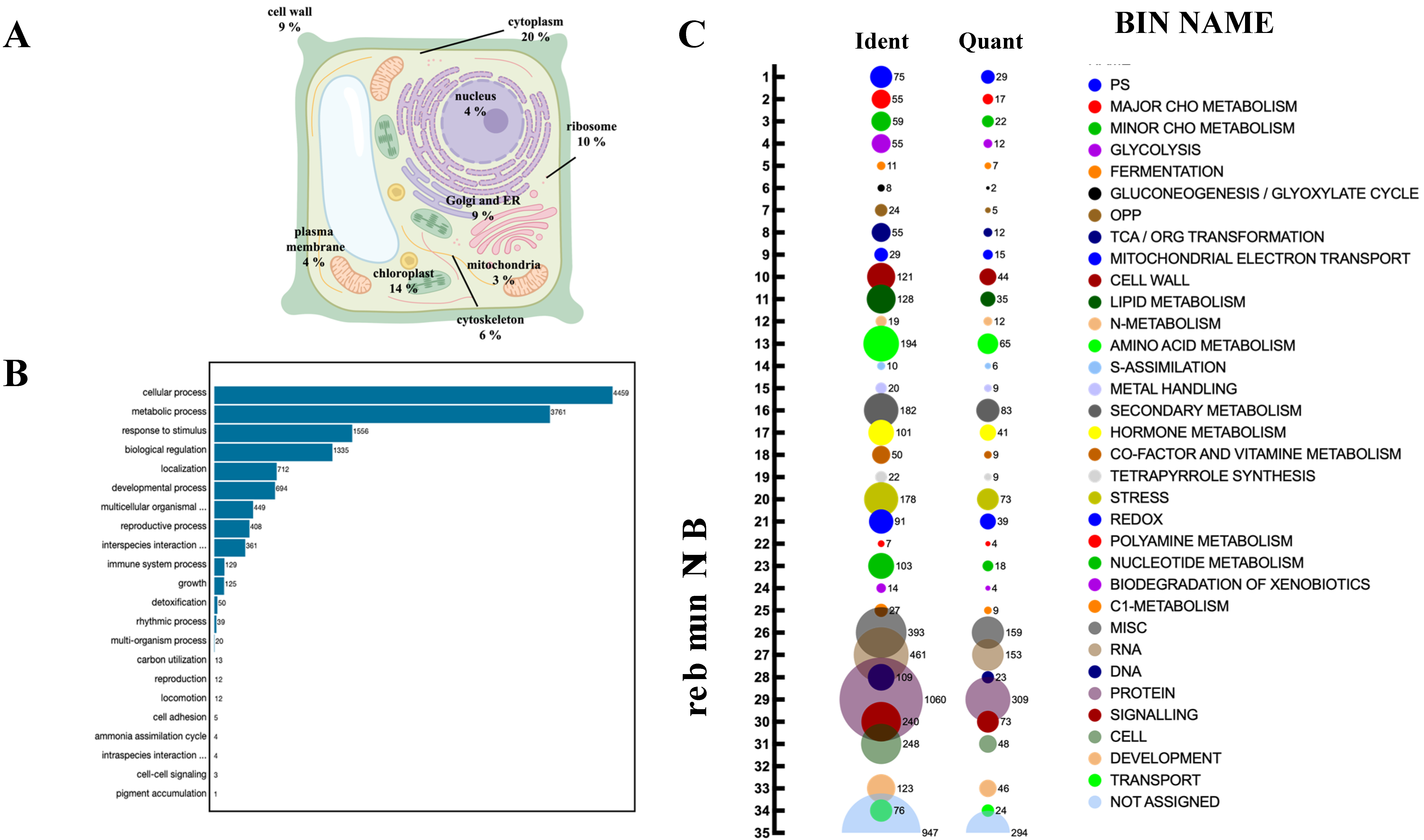 Antioxidants 10 00508 g003
