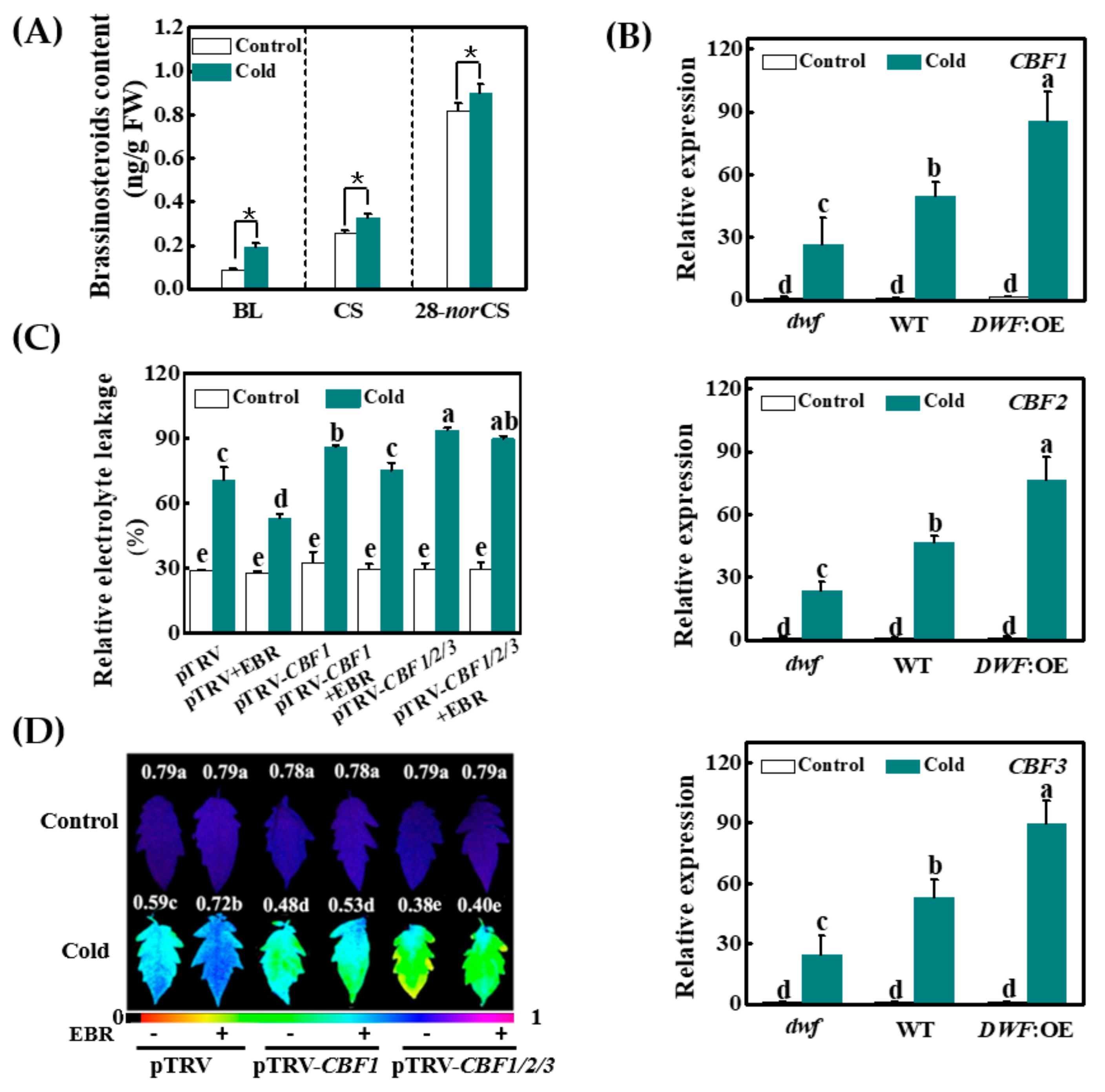 Antioxidants 10 00509 g001 Antioxidants 10 00509 g001