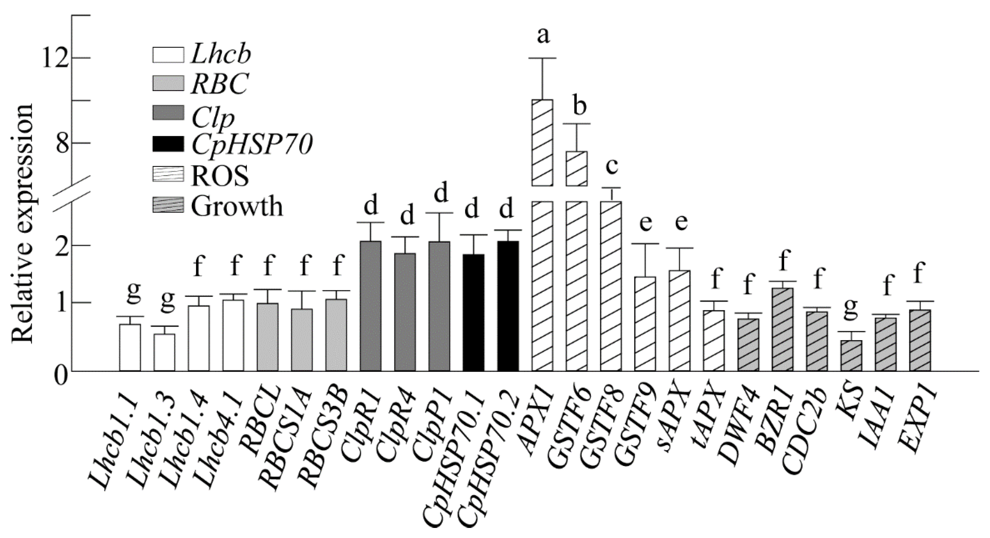 Antioxidants 10 00511 g006