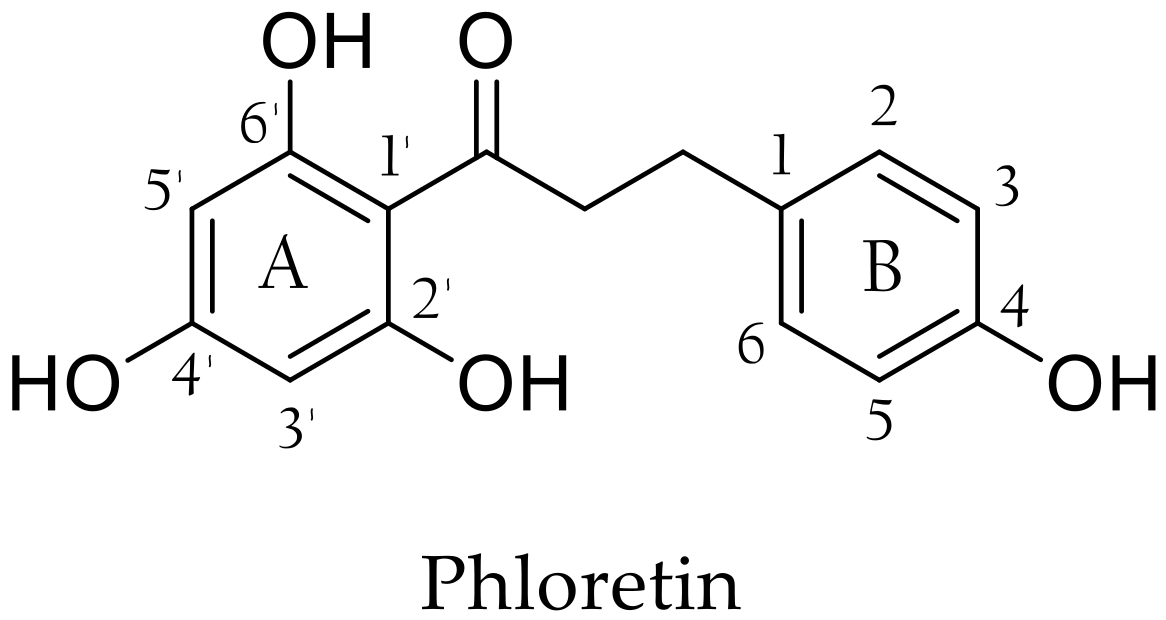 Antioxidants 10 00512 g001