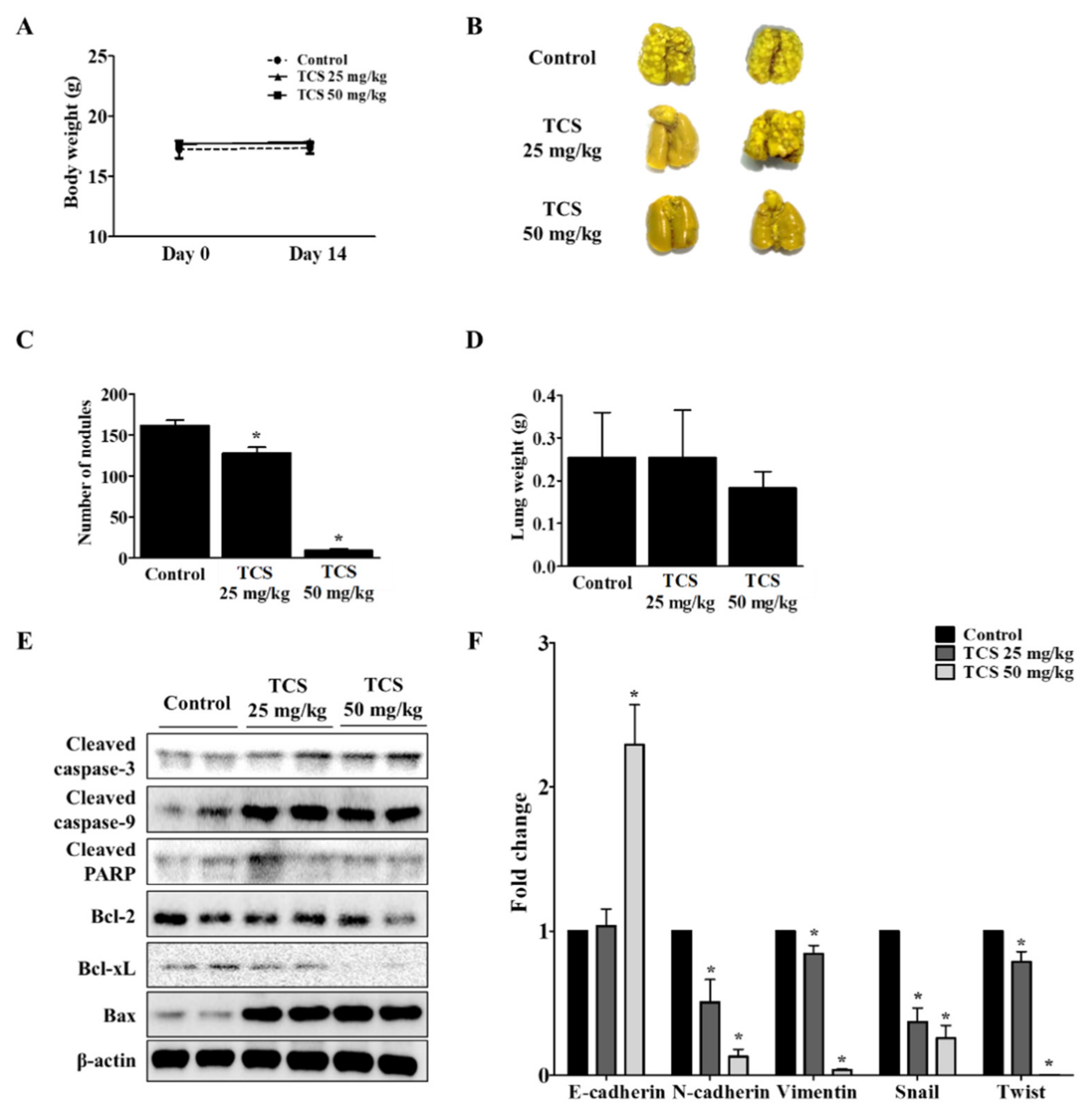 Antioxidants 10 00513 g008