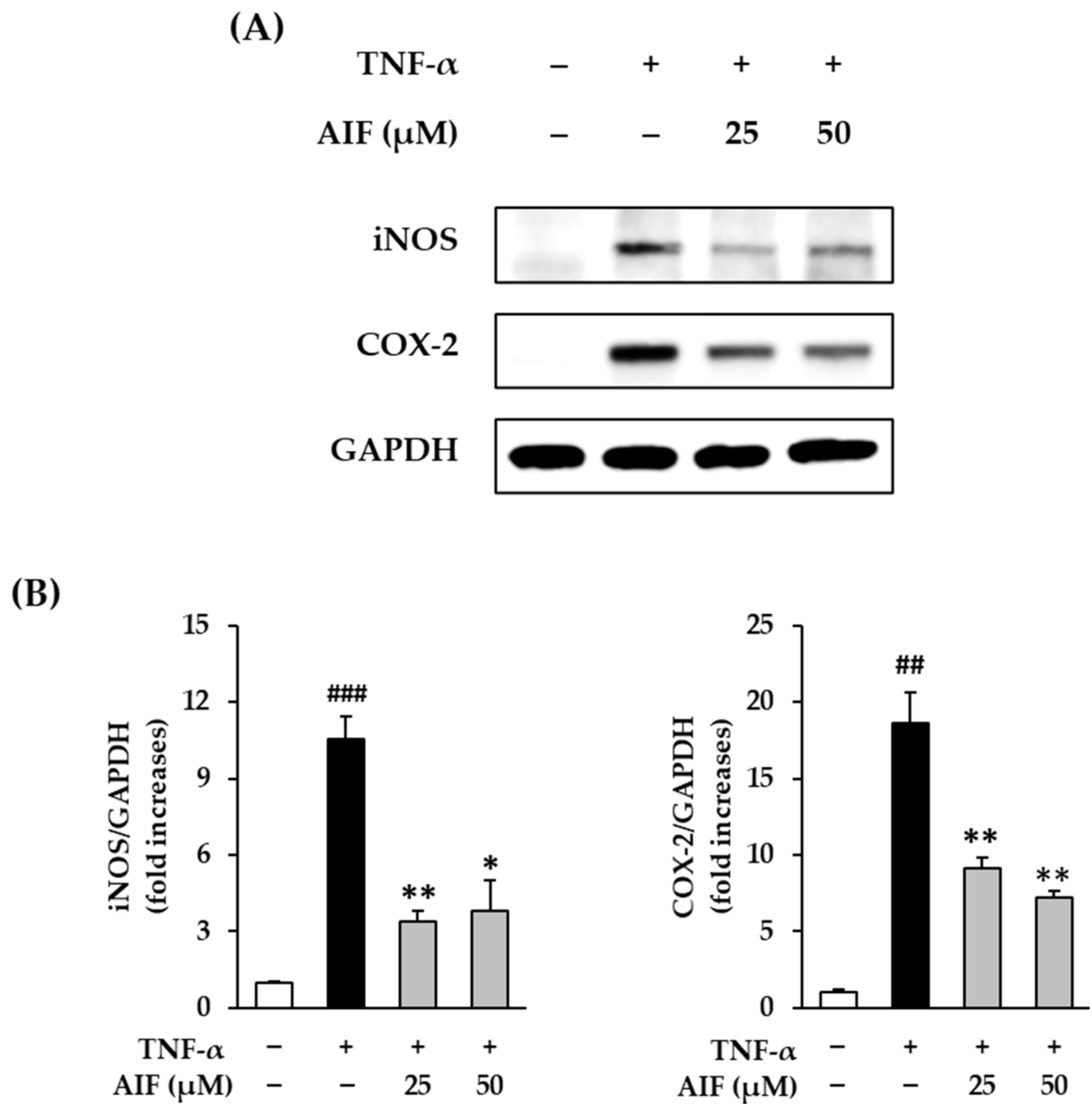 Antioxidants 10 00514 g004