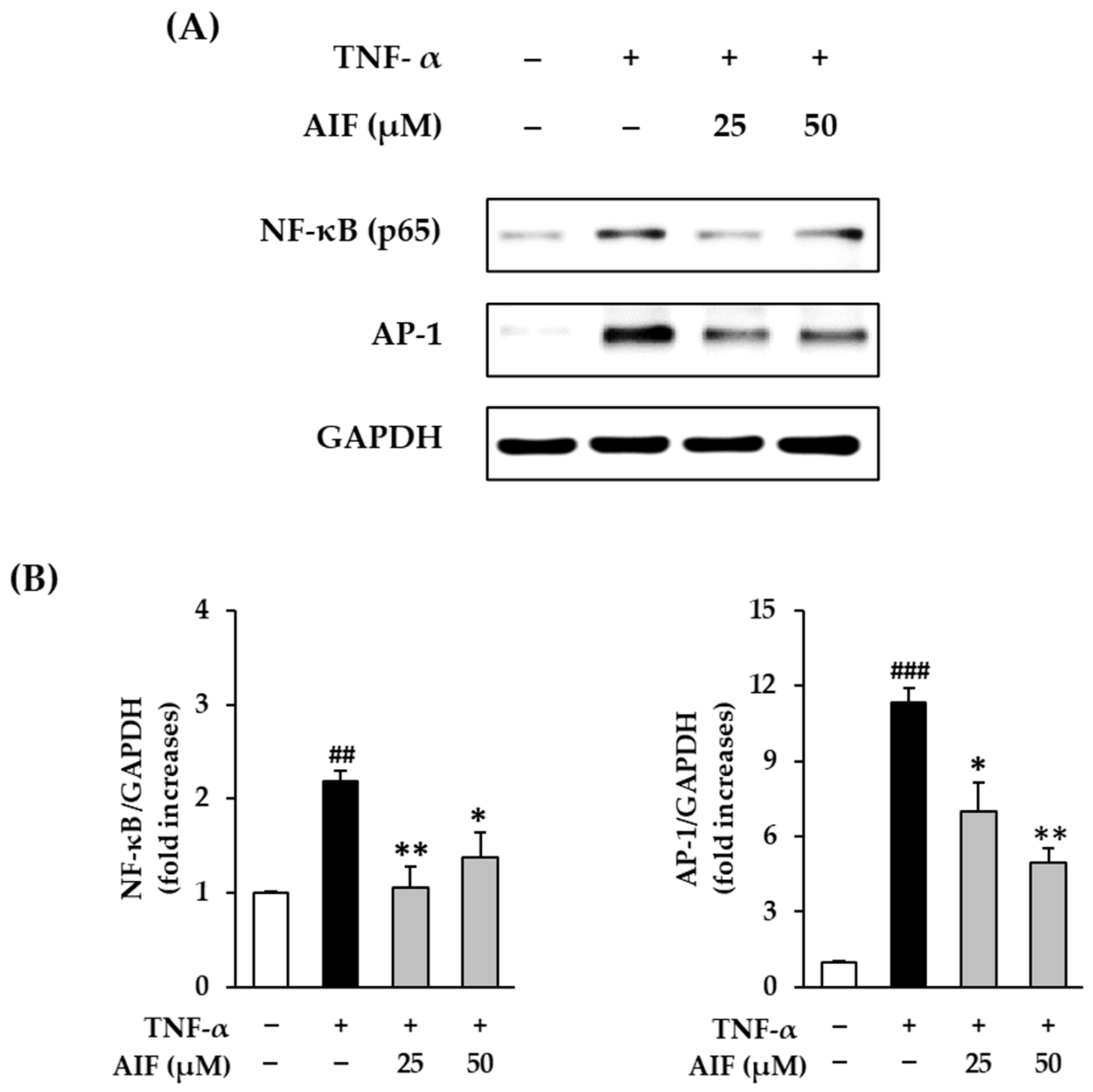 Antioxidants 10 00514 g007