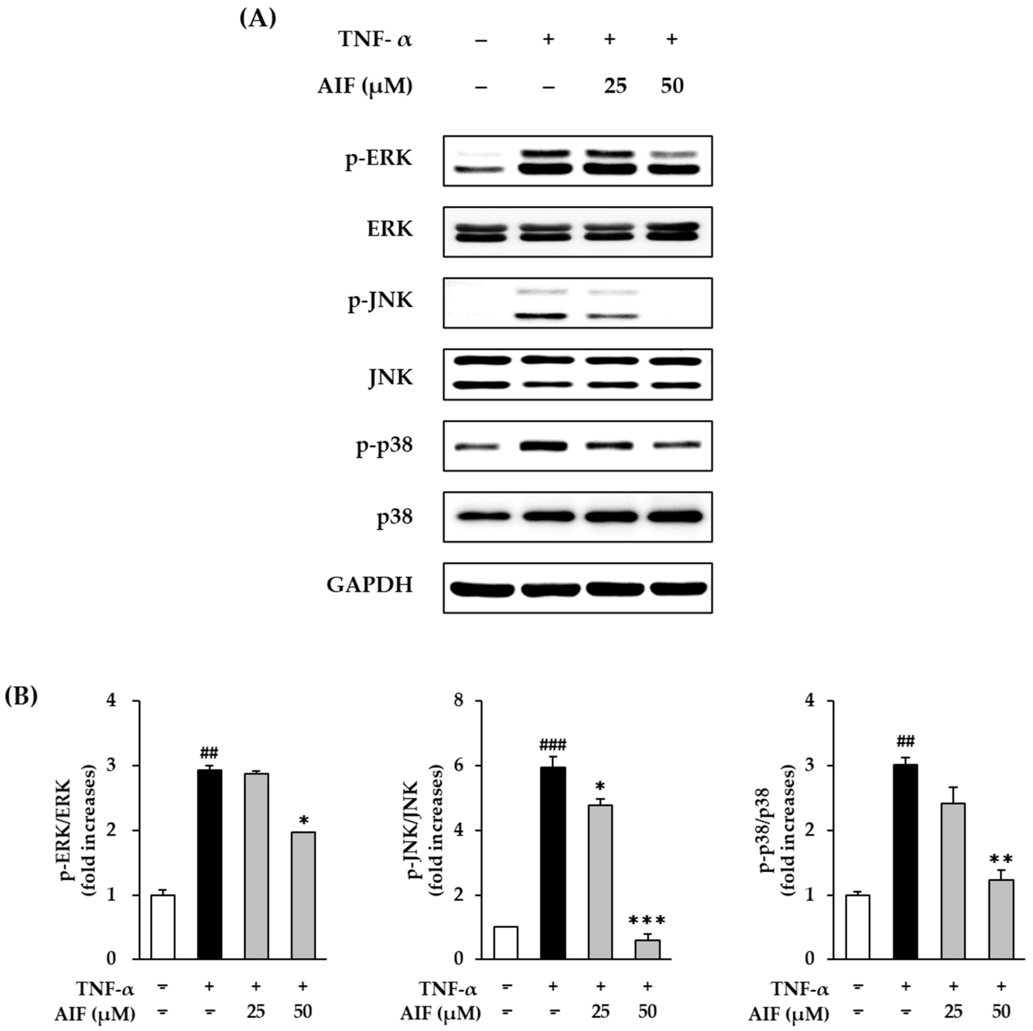Antioxidants 10 00514 g009