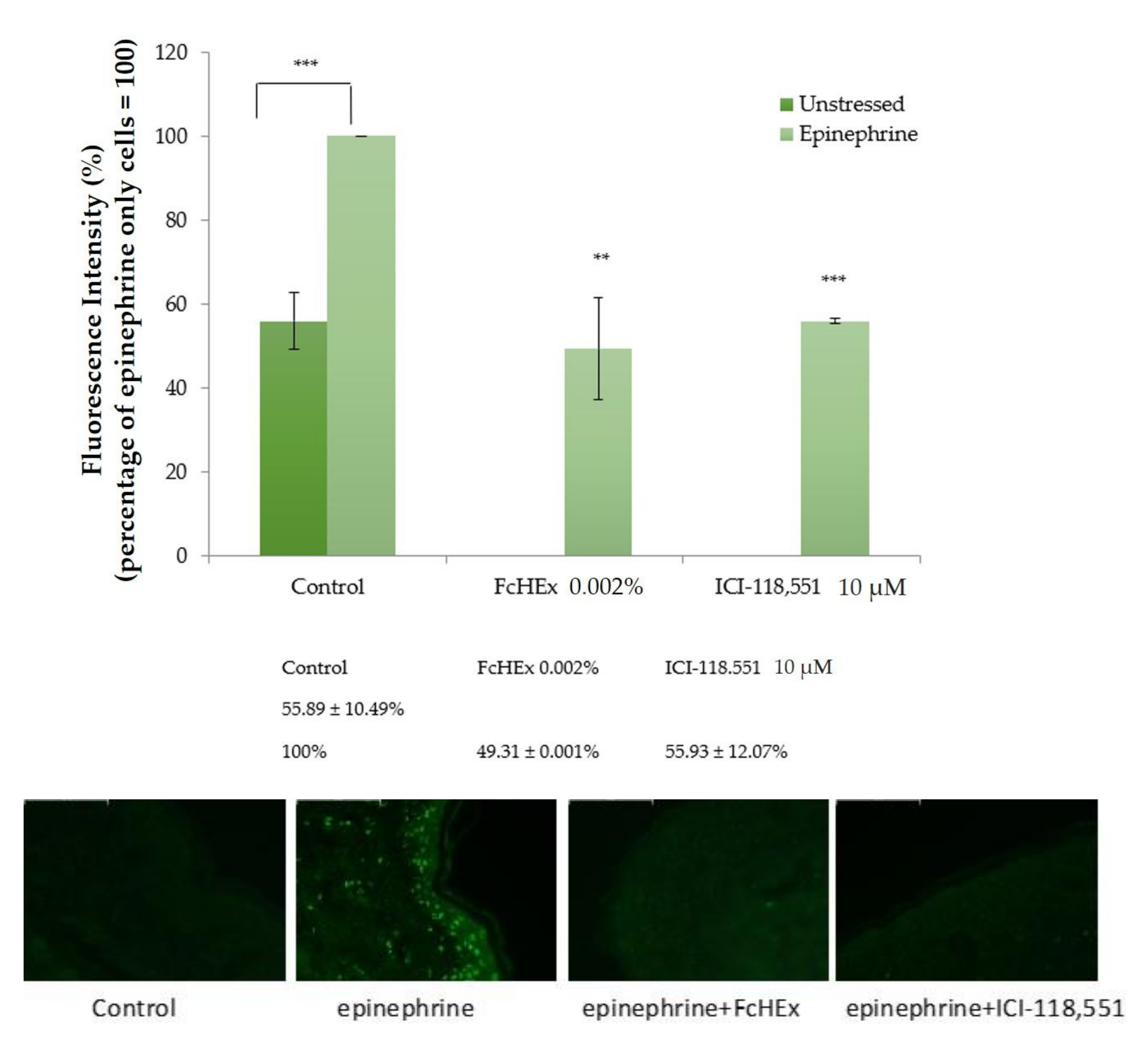 Antioxidants 10 00515 g005