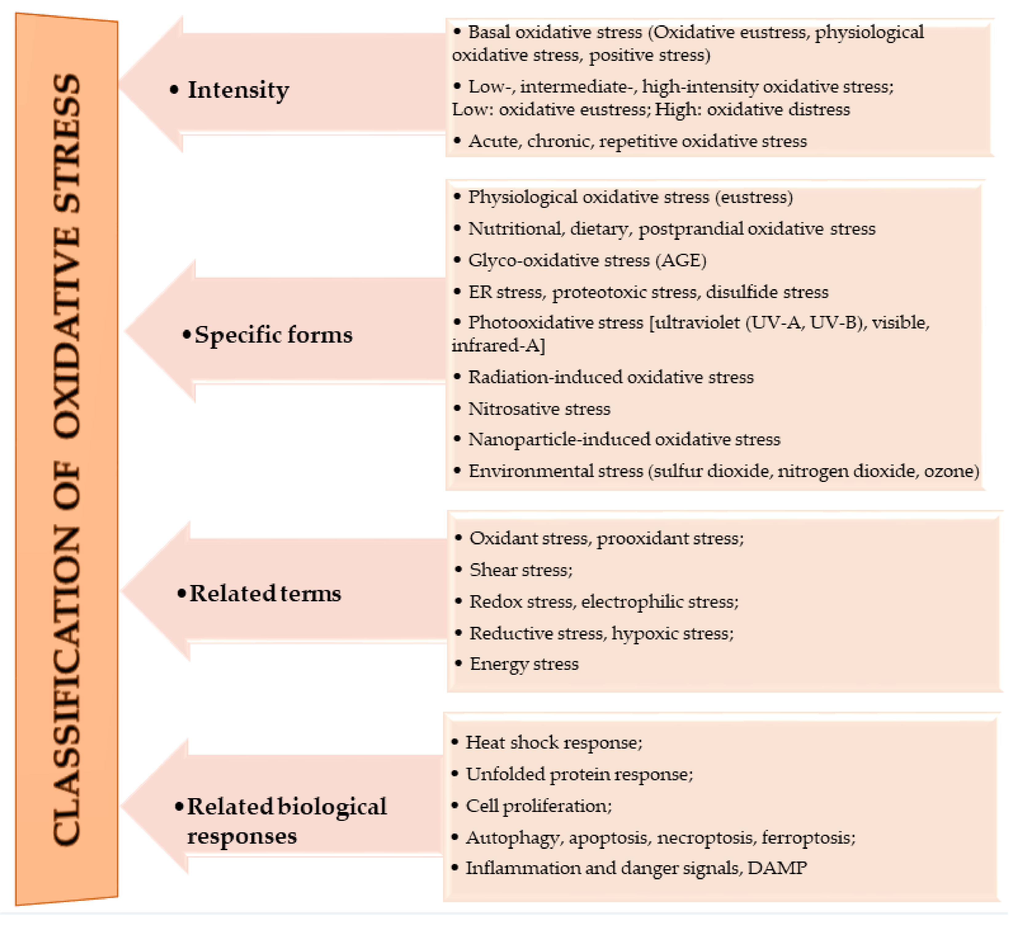 Antioxidants 10 00518 g001 Antioxidants 10 00518 g001