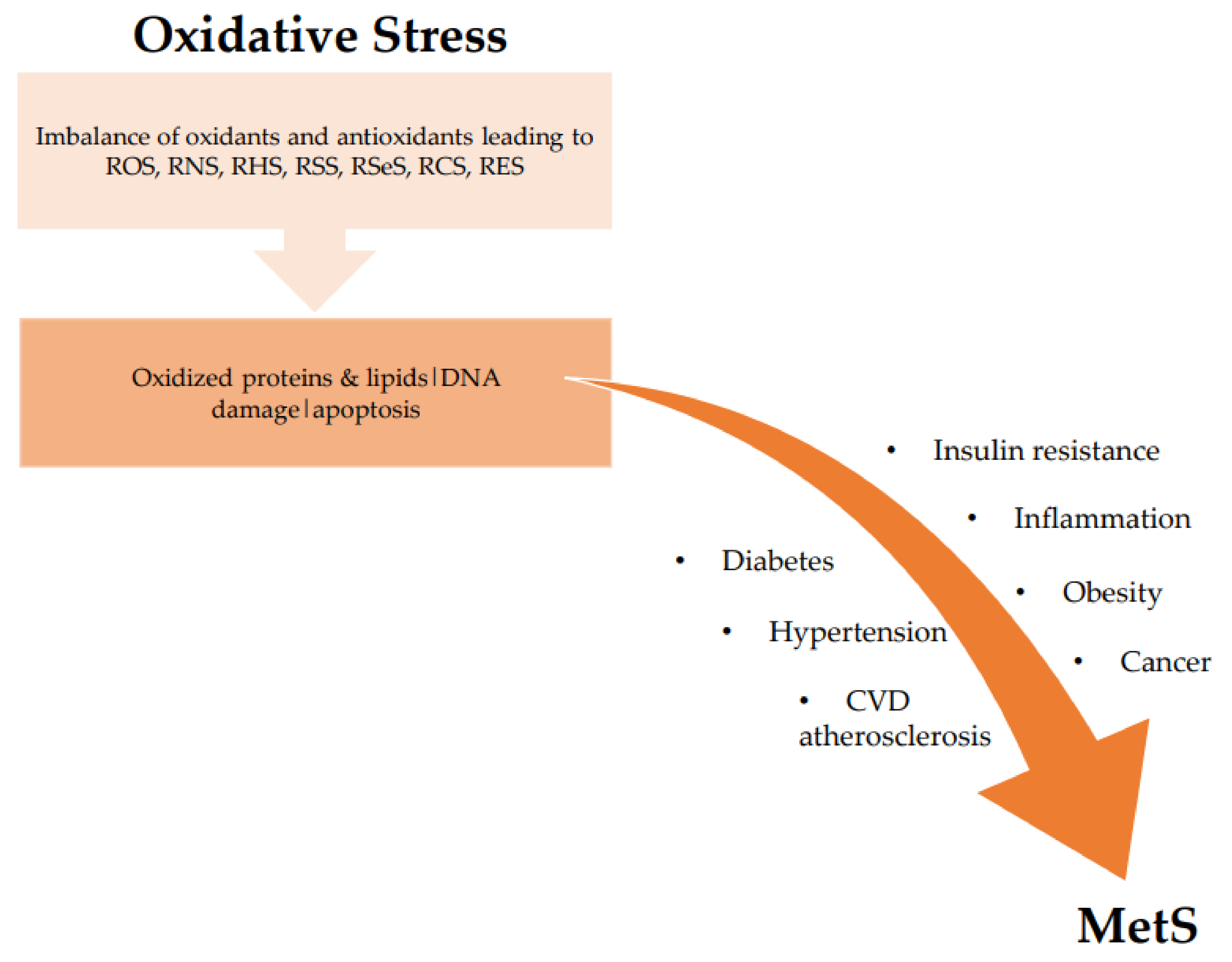Antioxidants 10 00518 g002 Antioxidants 10 00518 g002